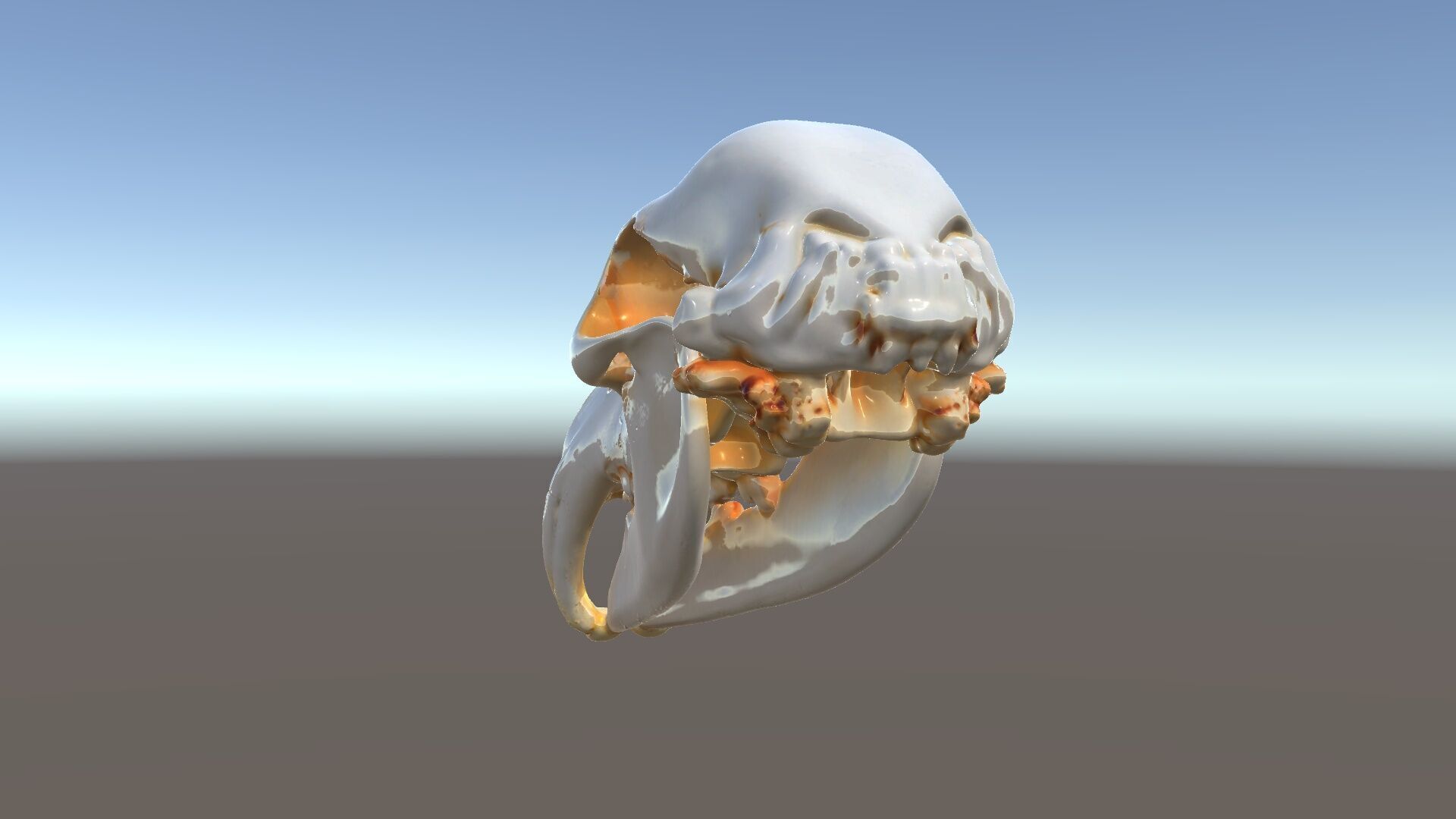 Animal Skull D Model Pack Low-poly 3D model_5