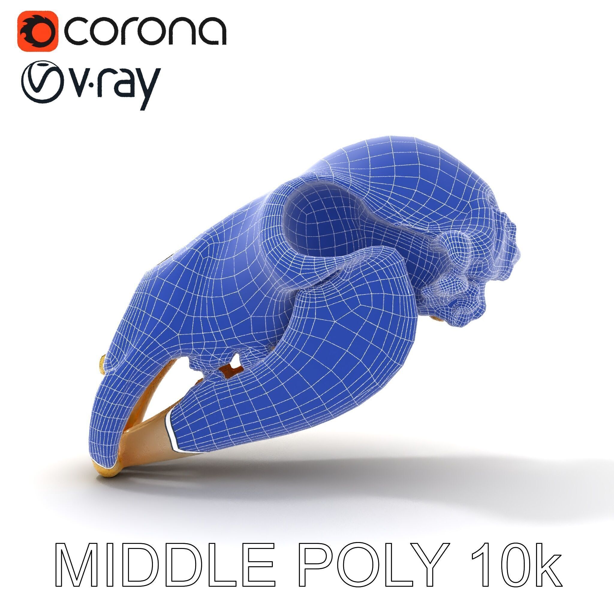 Animal Skull D Model Pack Low-poly 3D model_29