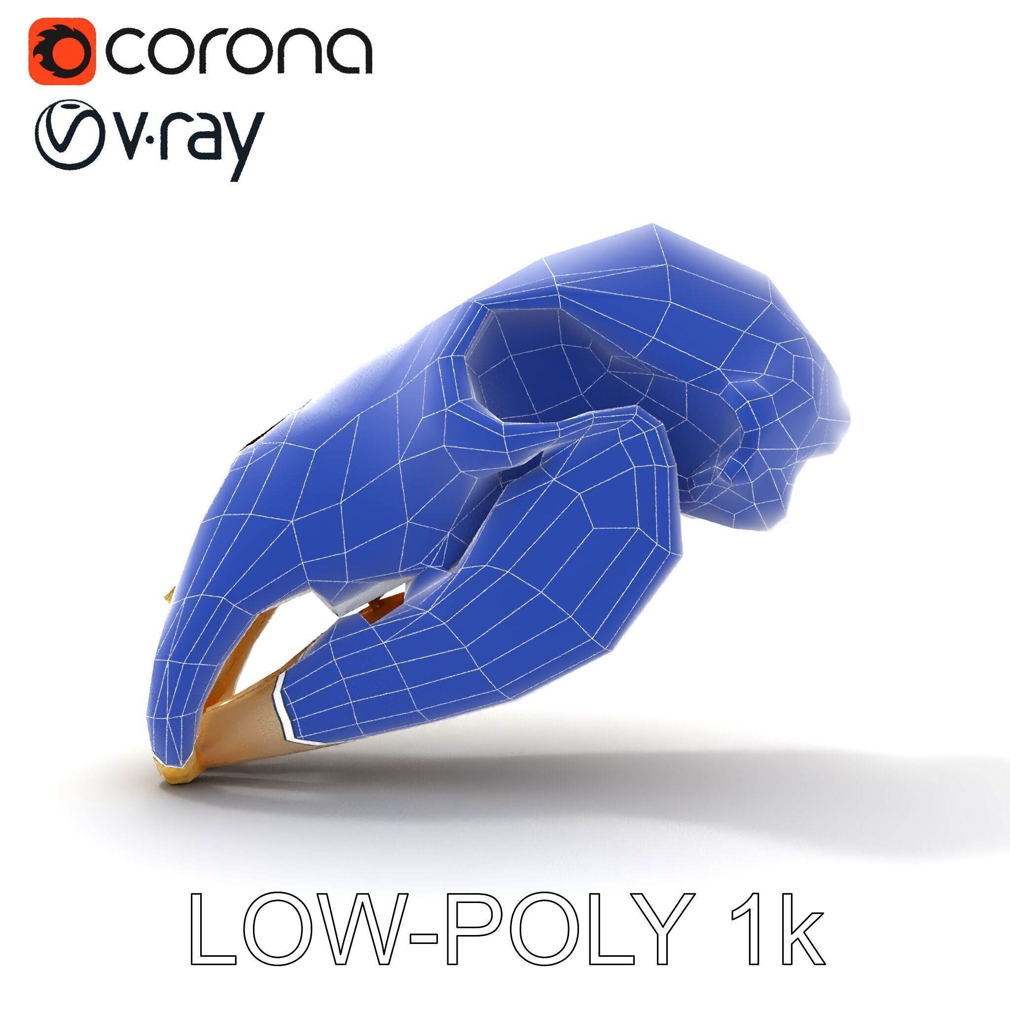 Animal Skull D Model Pack Low-poly 3D model_33