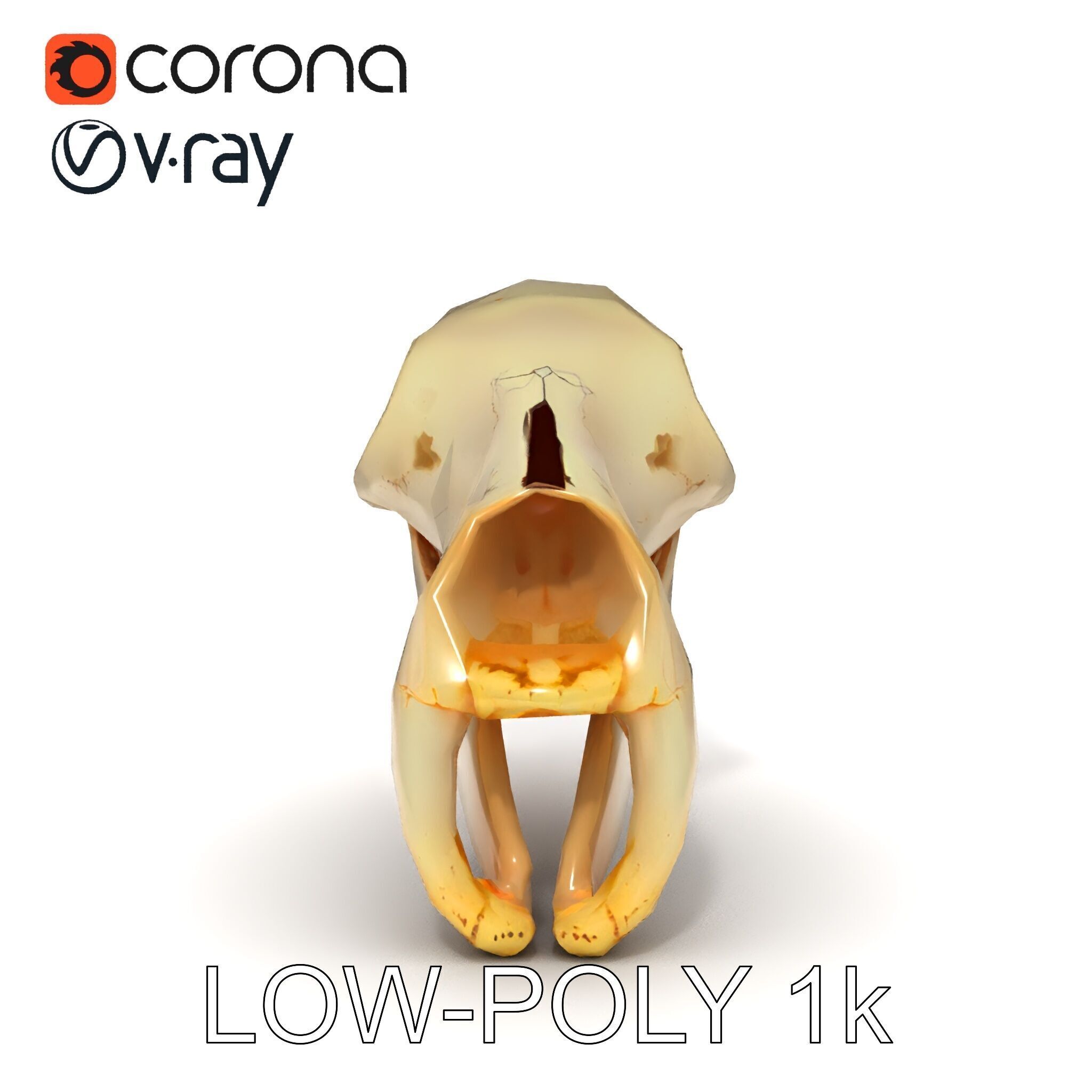 Animal Skull D Model Pack Low-poly 3D model_28