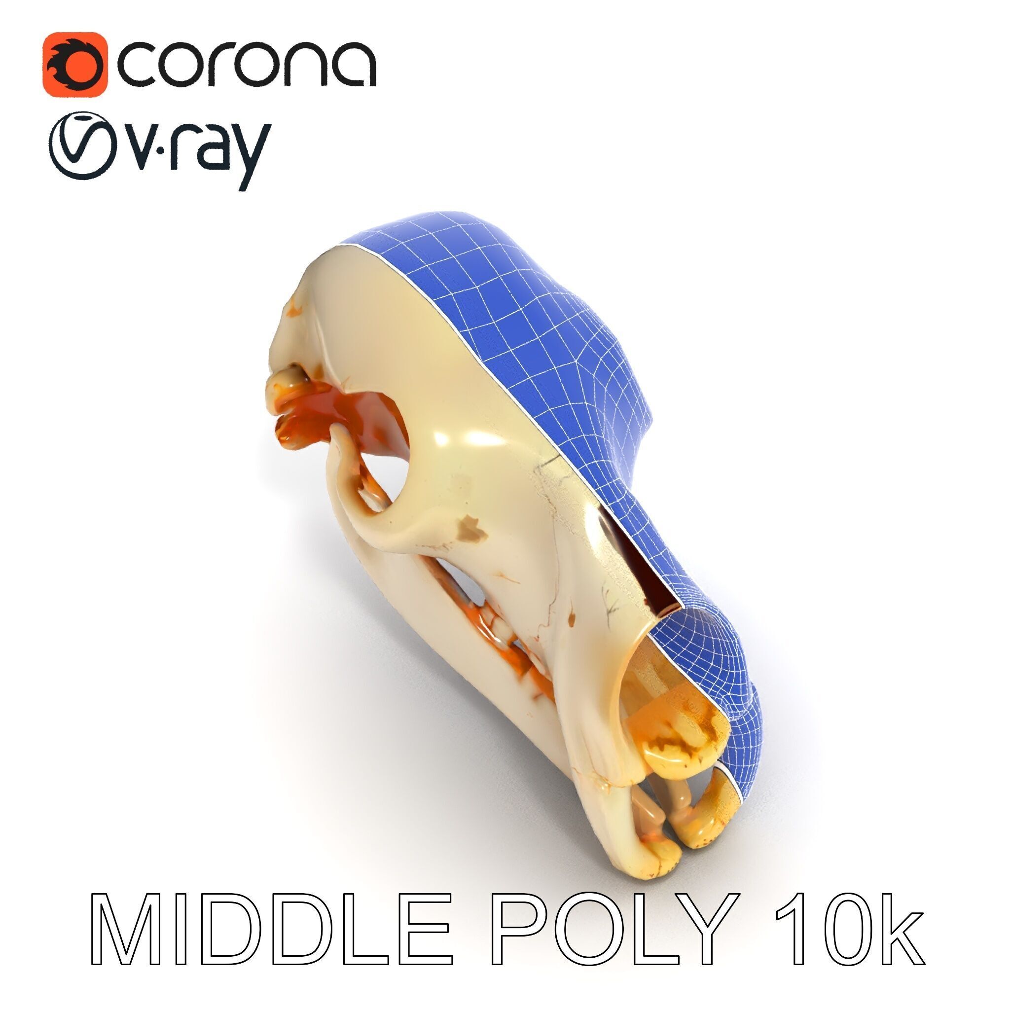 Animal Skull D Model Pack Low-poly 3D model_32