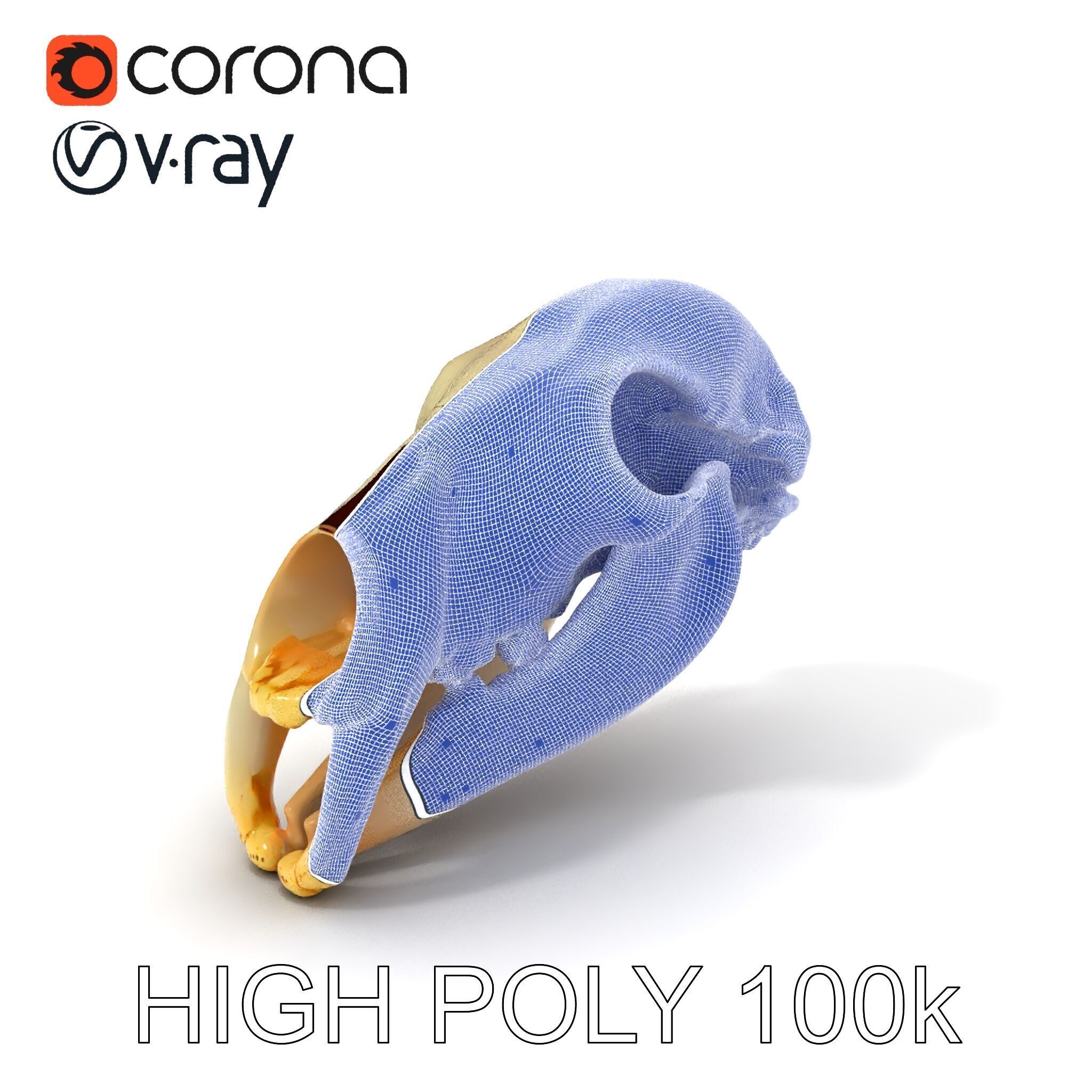 Animal Skull D Model Pack Low-poly 3D model_4