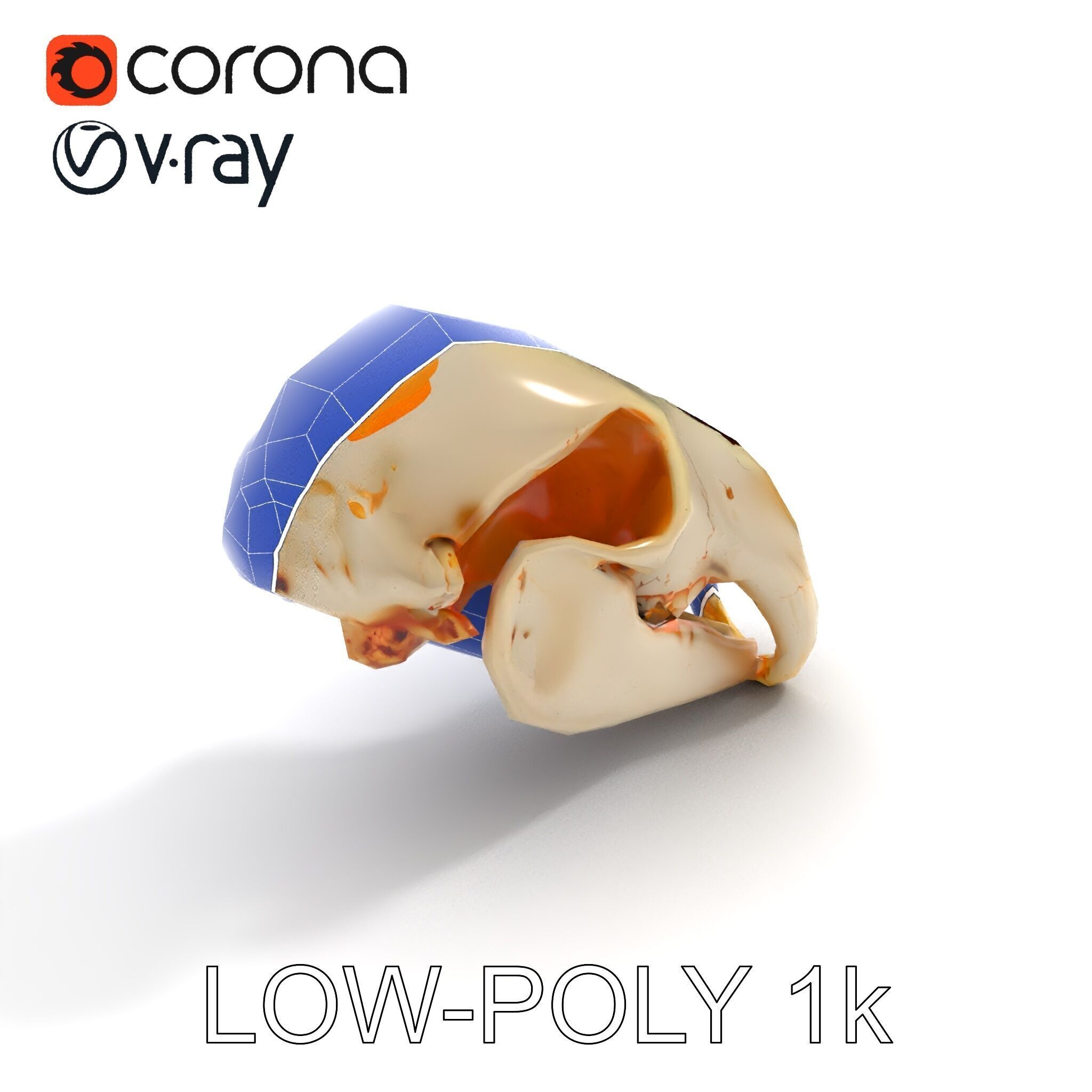 Animal Skull D Model Pack Low-poly 3D model_12