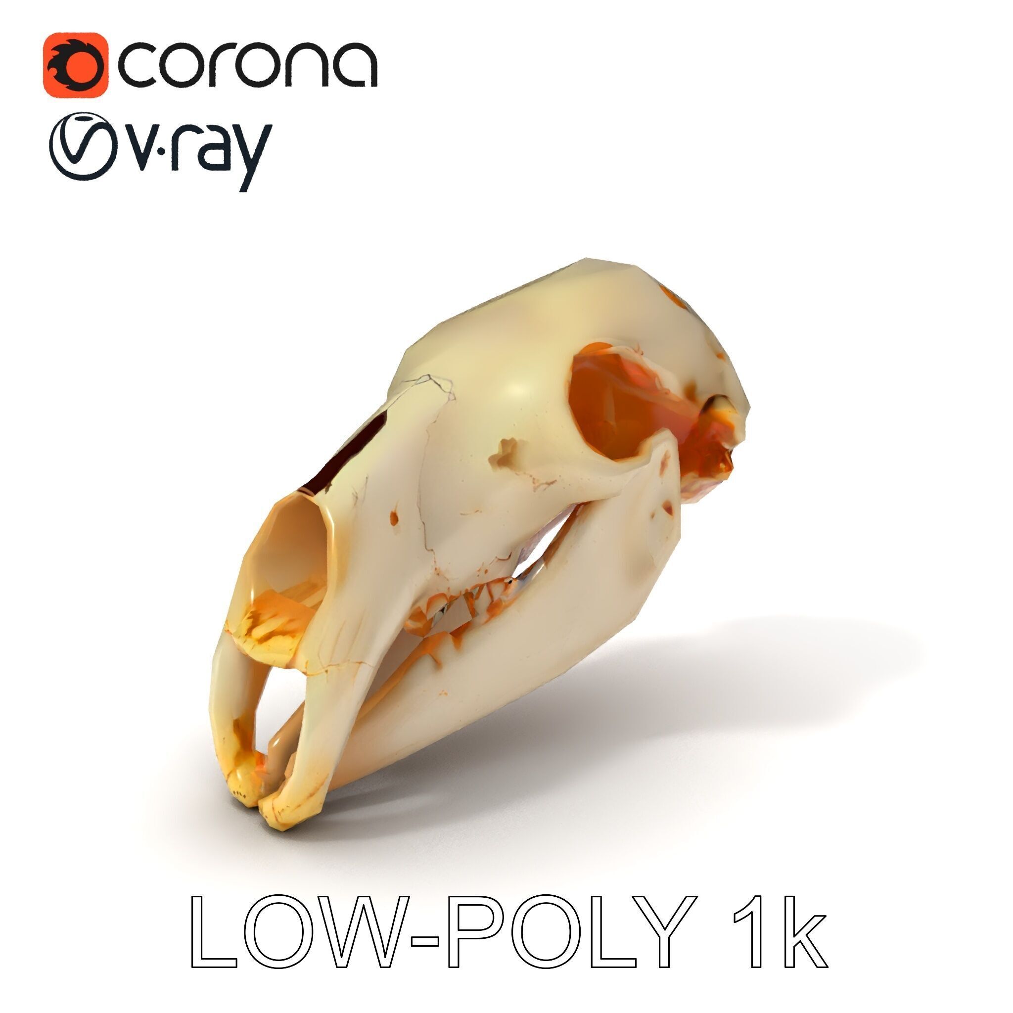 Animal Skull D Model Pack Low-poly 3D model_30