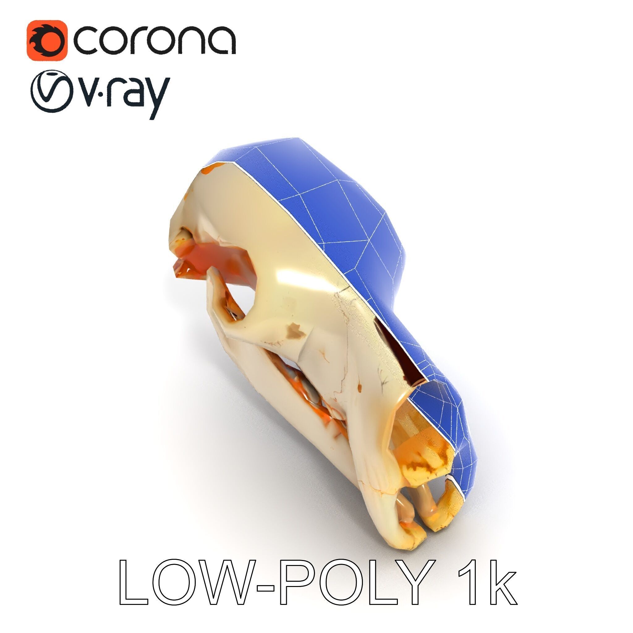 Animal Skull D Model Pack Low-poly 3D model_7