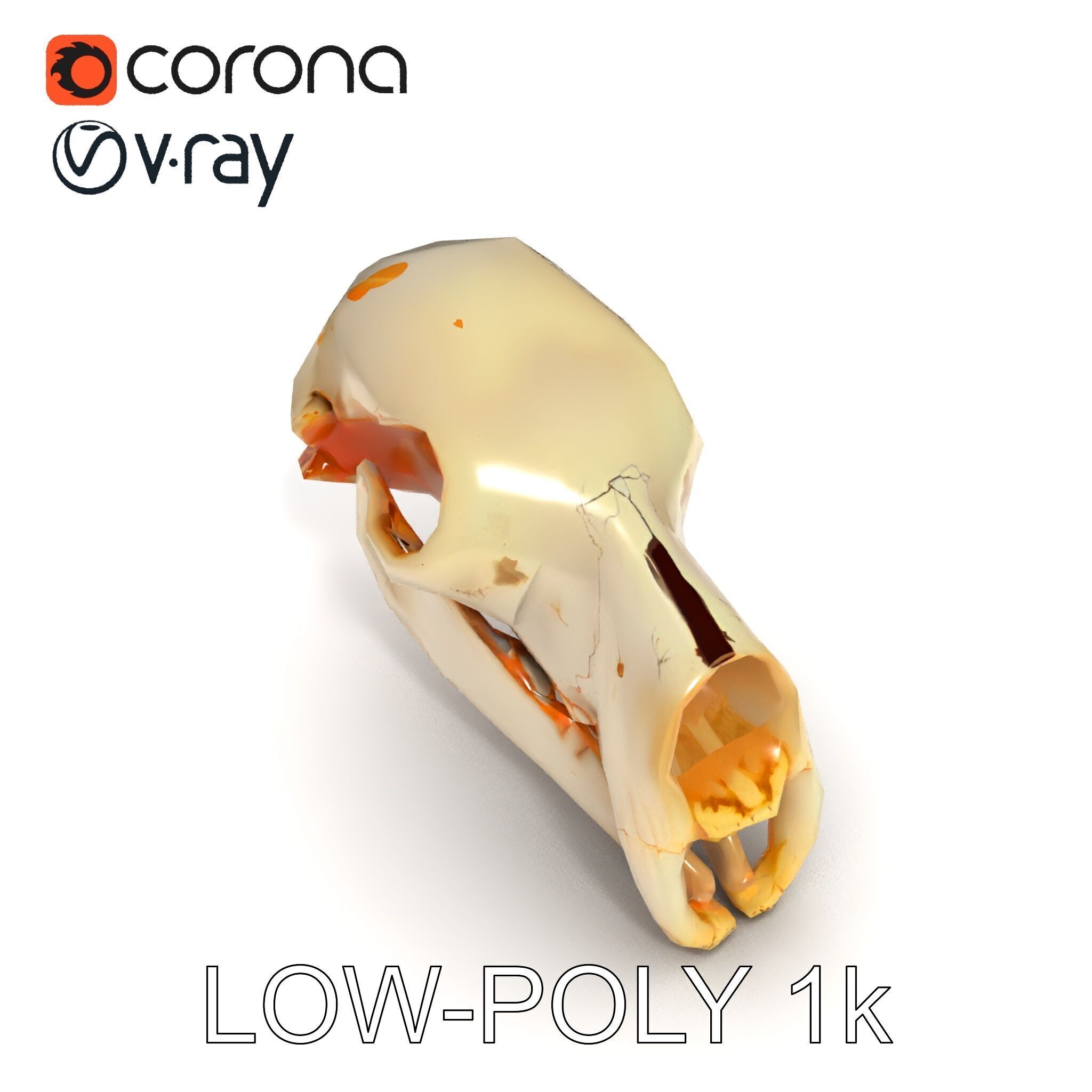 Animal Skull D Model Pack Low-poly 3D model_17