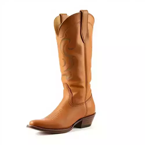 Western Cowboy Boot Model Pack