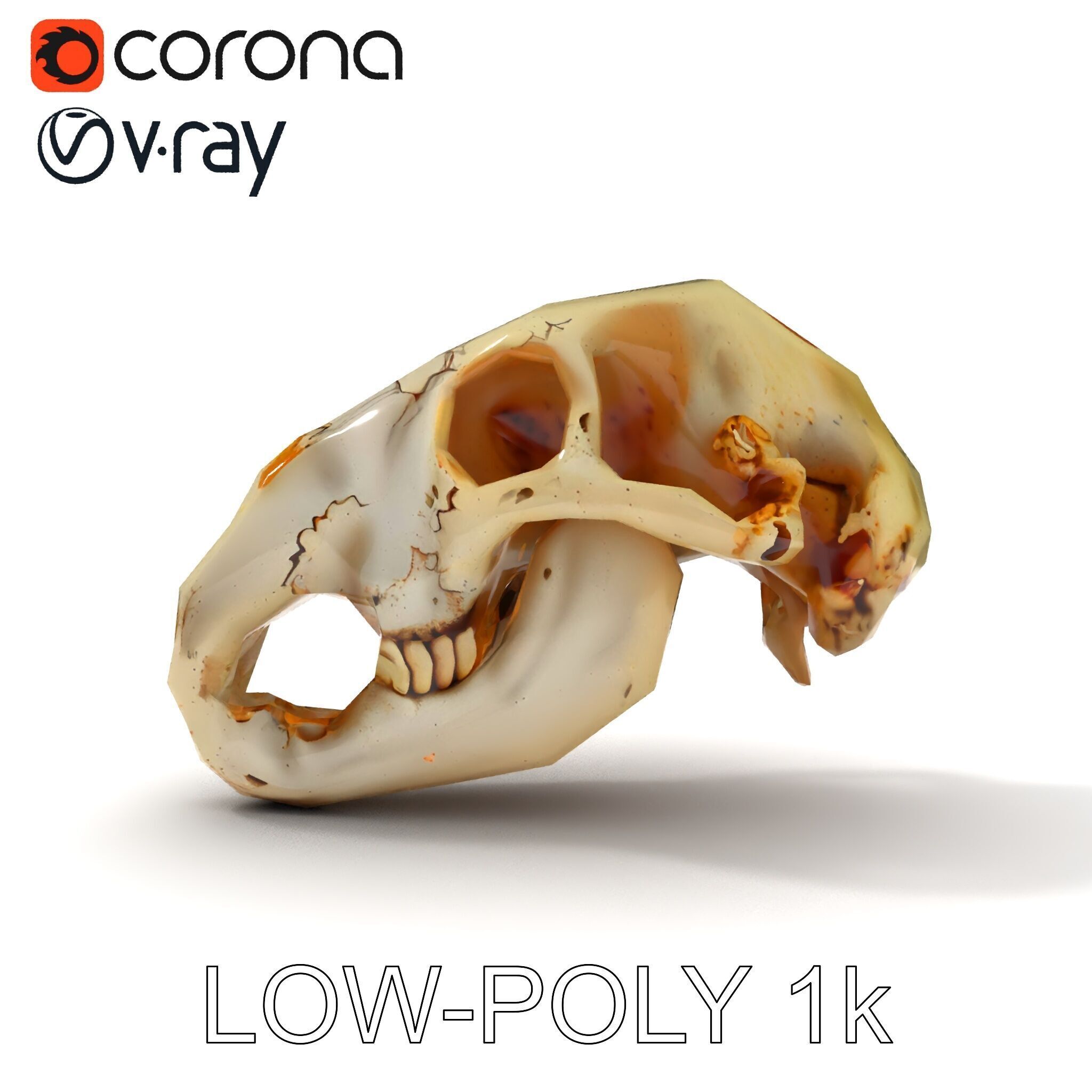 Realistic Animal Skull D Model Pack Low-poly 3D model_13