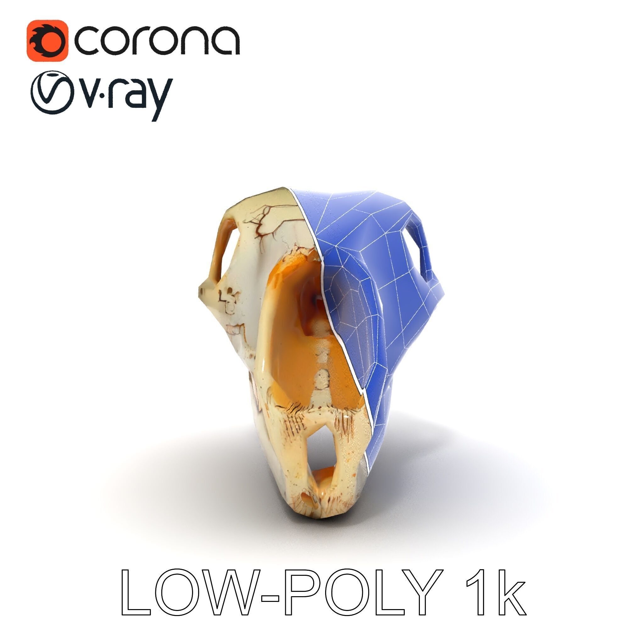 Realistic Animal Skull D Model Pack Low-poly 3D model_10