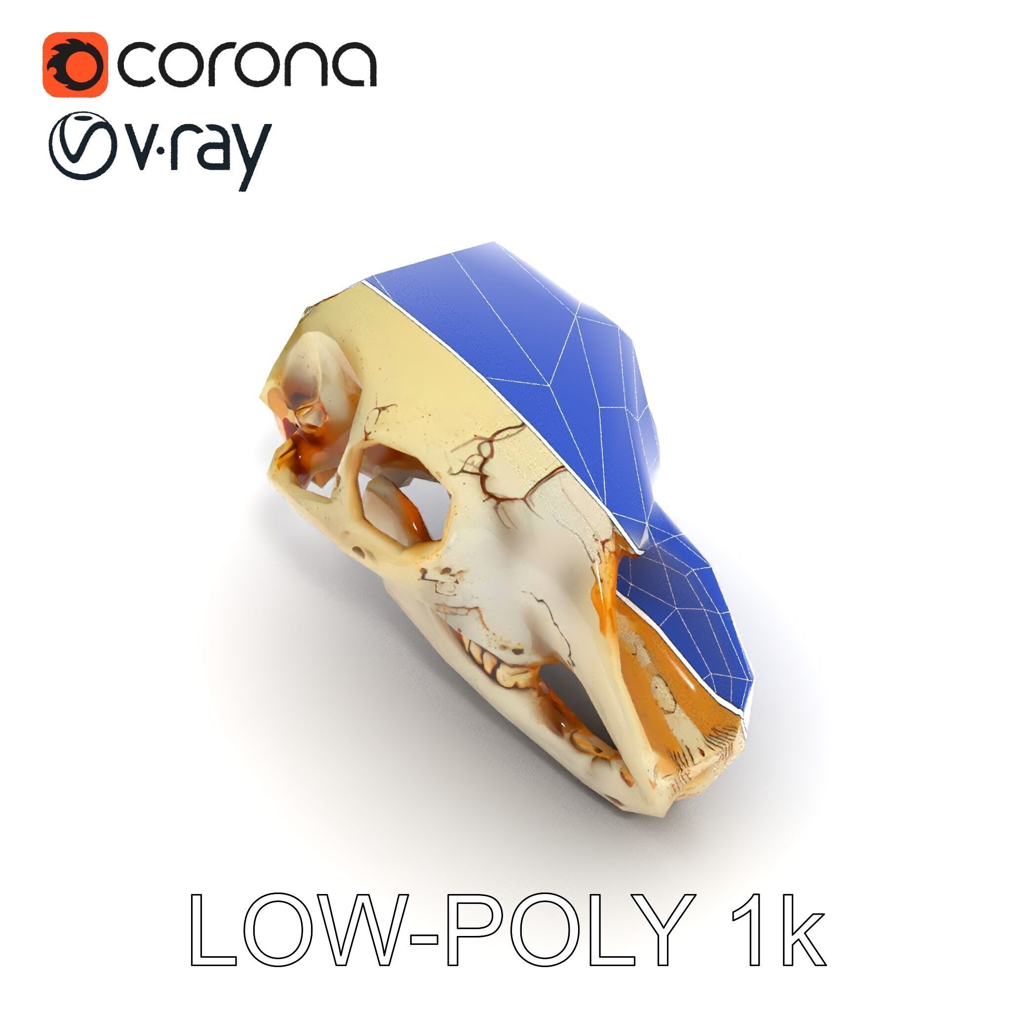 Realistic Animal Skull D Model Pack Low-poly 3D model_30