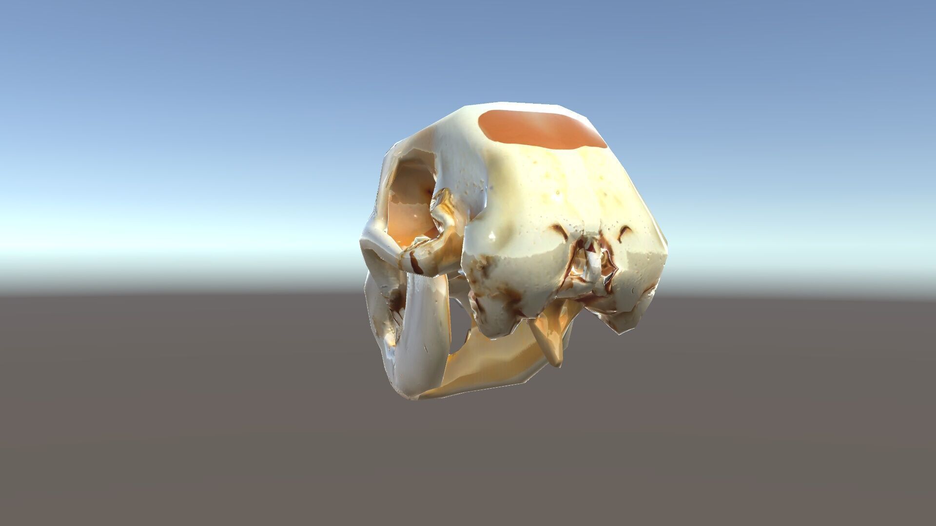 Realistic Animal Skull D Model Pack Low-poly 3D model_19