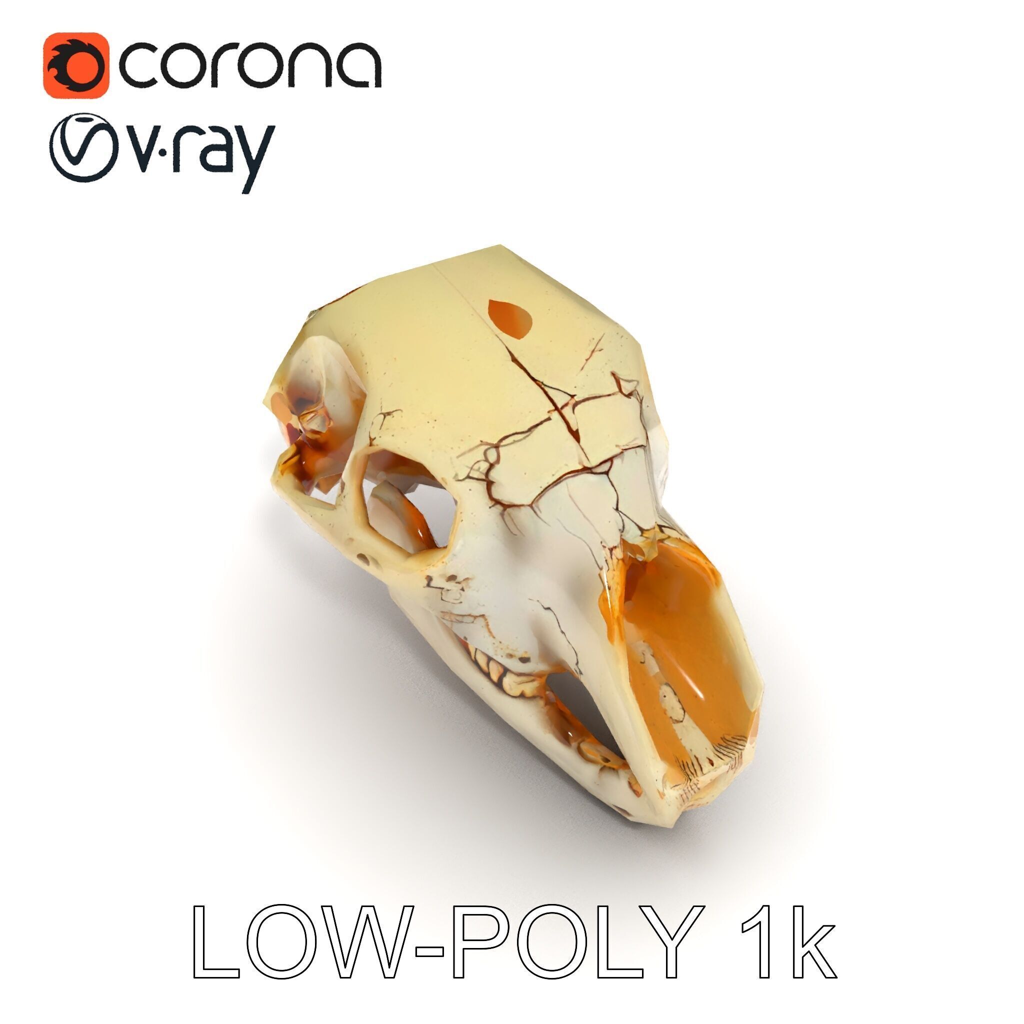 Realistic Animal Skull D Model Pack Low-poly 3D model_22