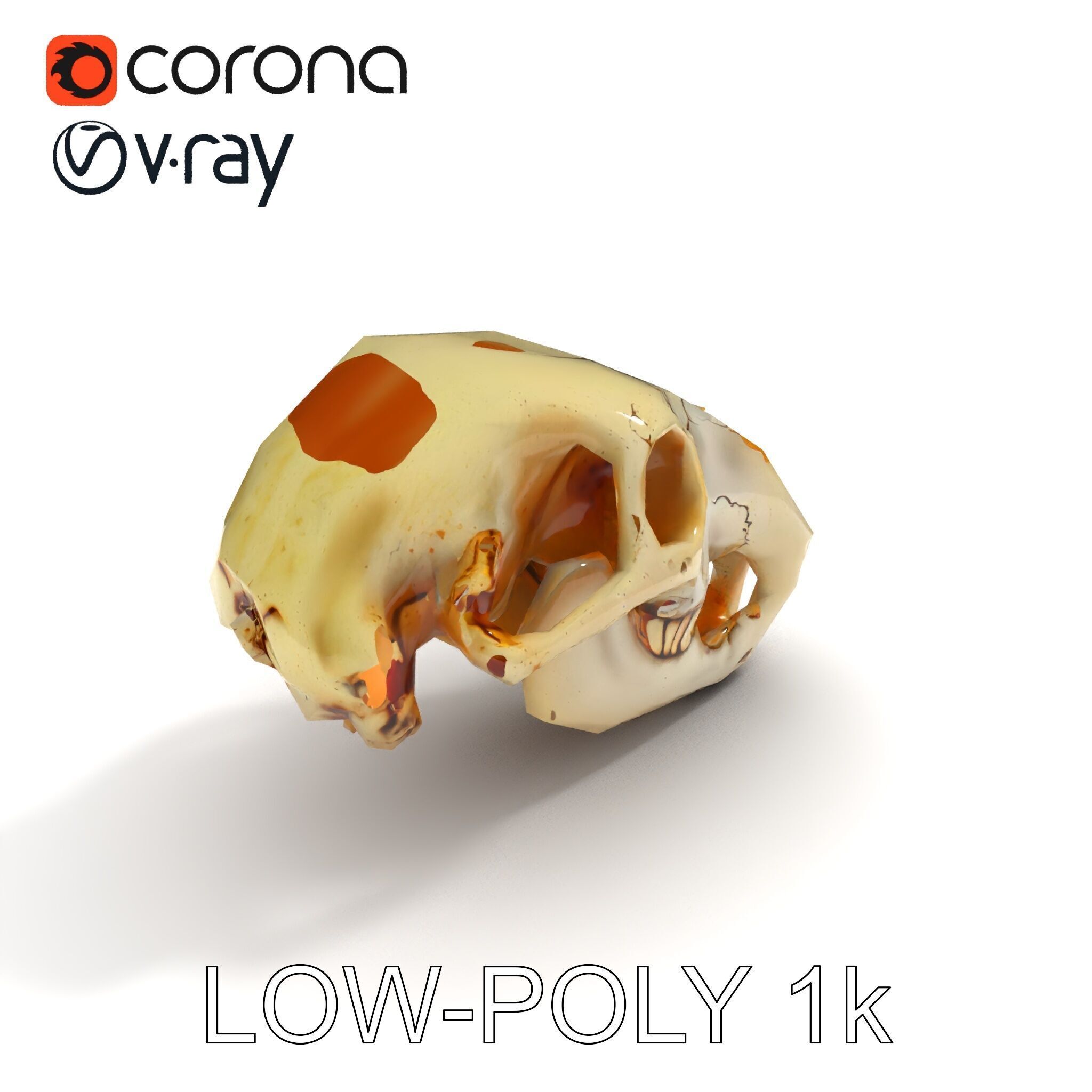 Realistic Animal Skull D Model Pack Low-poly 3D model_16
