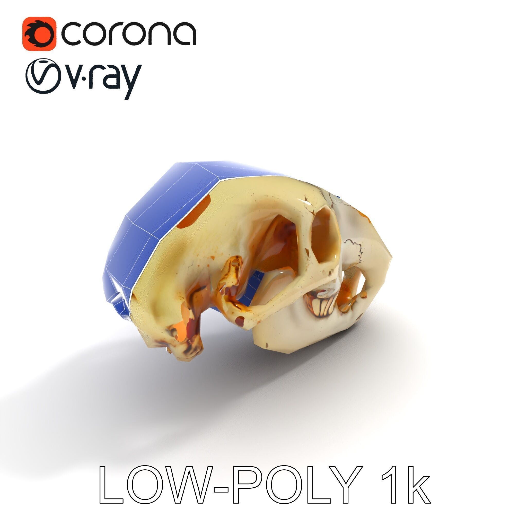 Realistic Animal Skull D Model Pack Low-poly 3D model_34