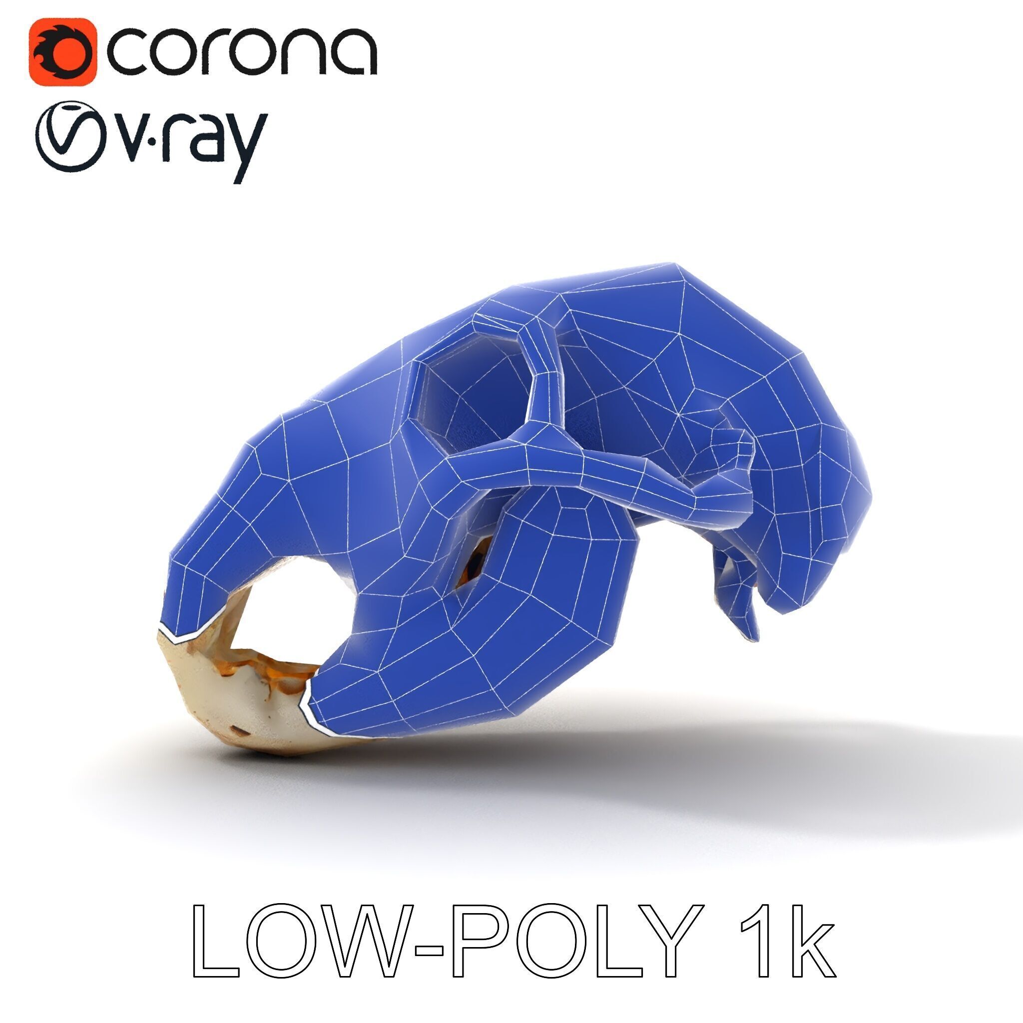 Realistic Animal Skull D Model Pack Low-poly 3D model_32