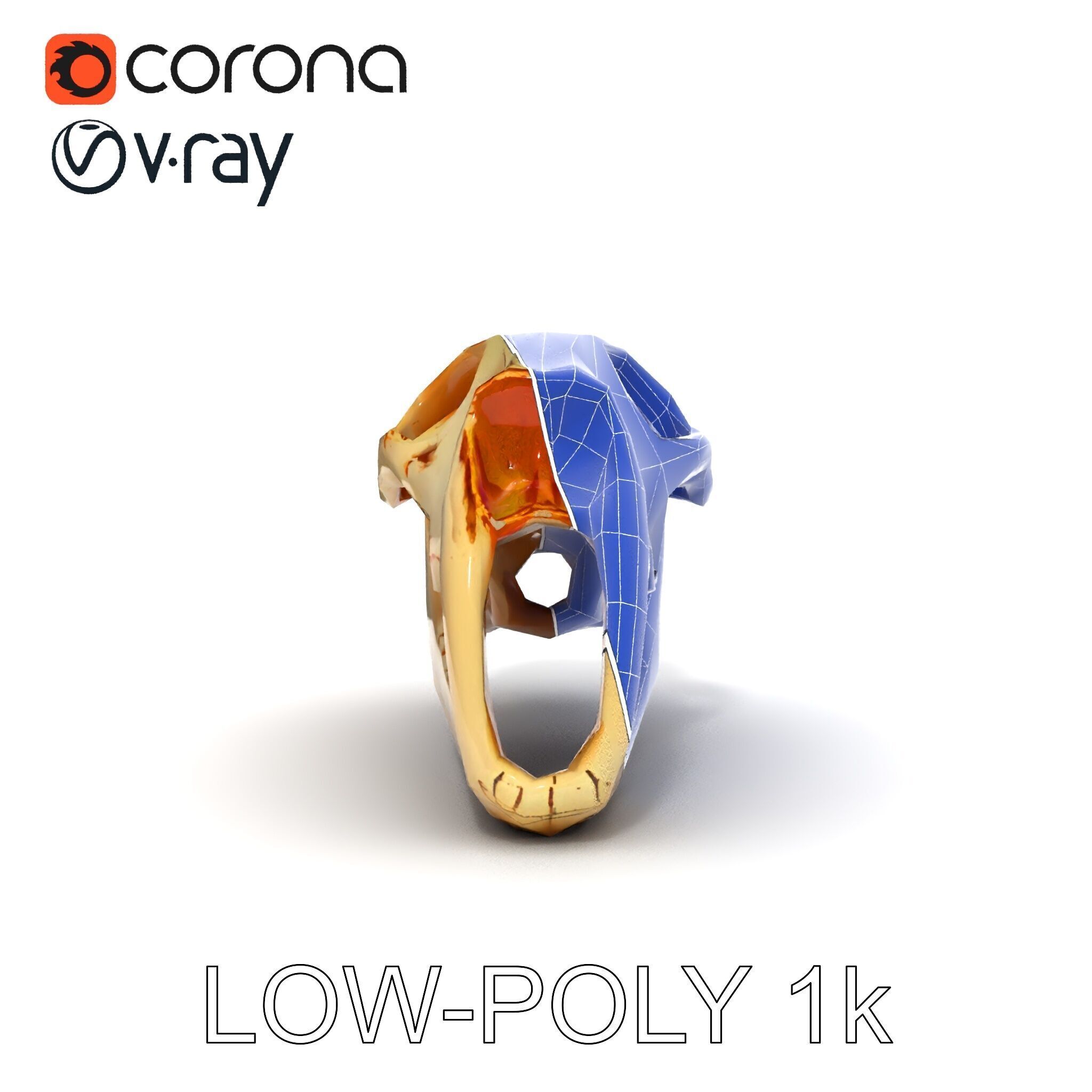 Realistic Animal Skull Model Pack for Educational and Artisti... Low-poly 3D model_10