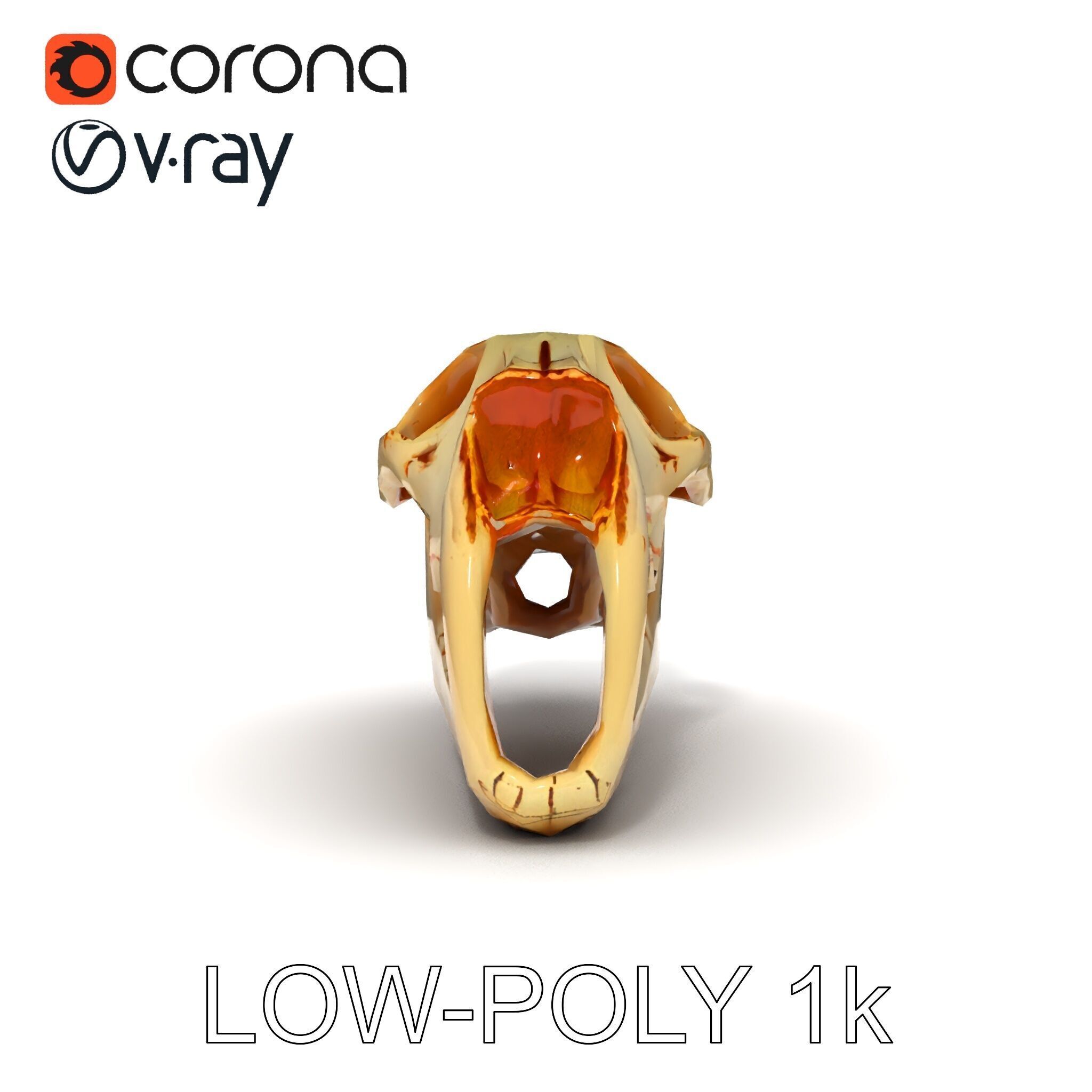 Realistic Animal Skull Model Pack for Educational and Artisti... Low-poly 3D model_7