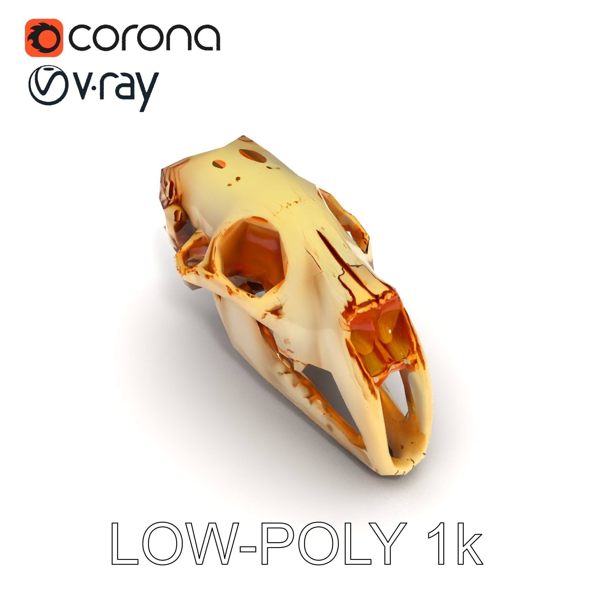 Realistic Animal Skull Model Pack for Educational and Artisti... Low-poly 3D model_22