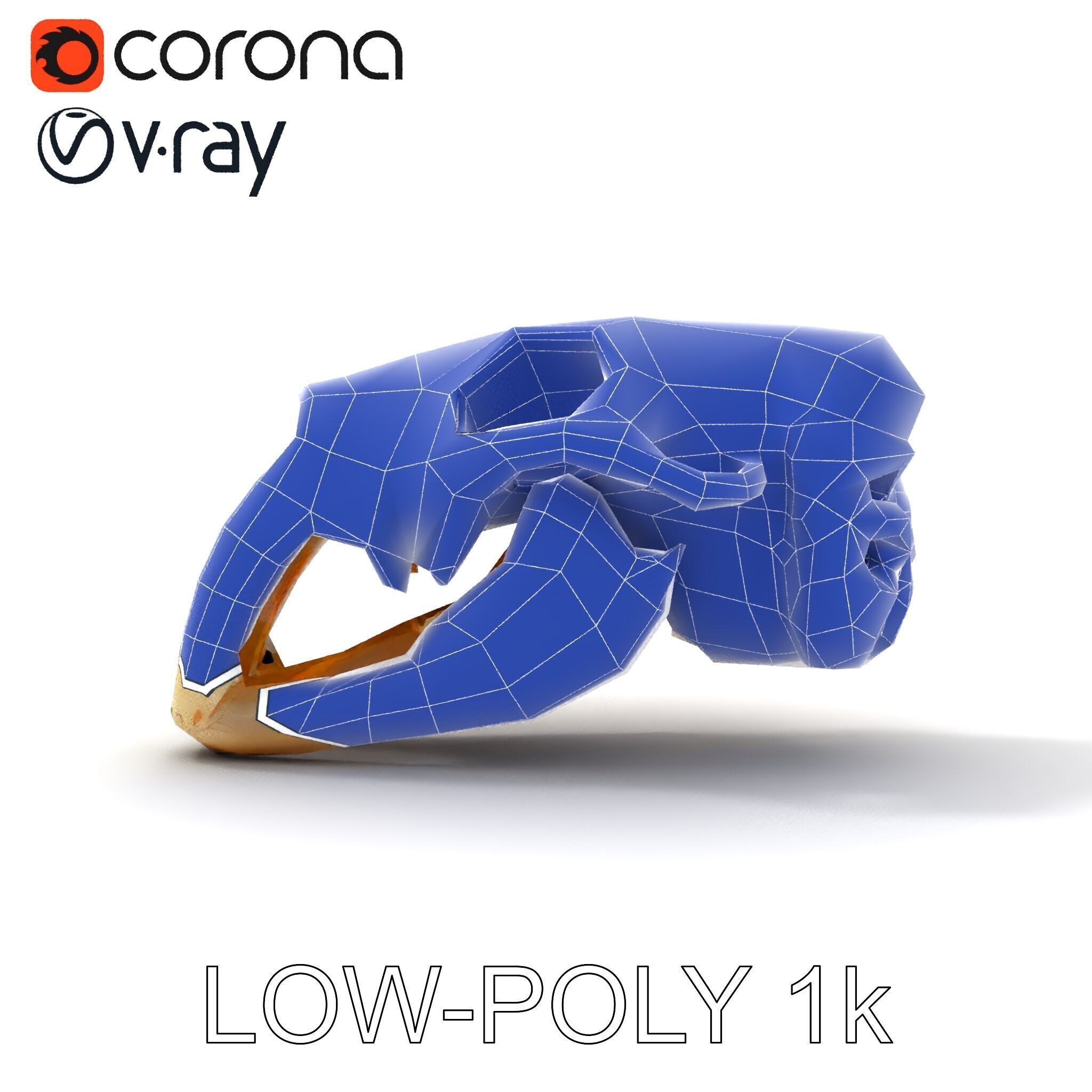 Realistic Animal Skull Model Pack for Educational and Artisti... Low-poly 3D model_12