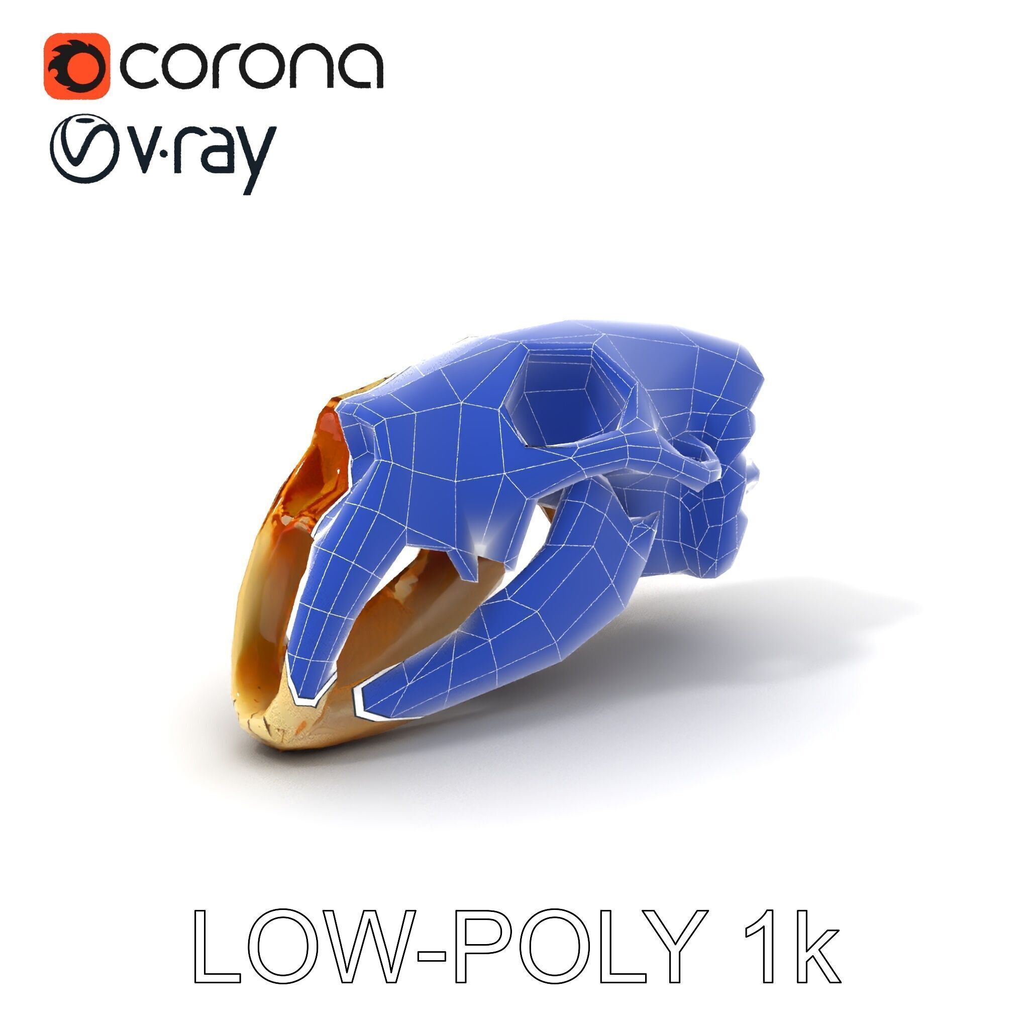 Realistic Animal Skull Model Pack for Educational and Artisti... Low-poly 3D model_31