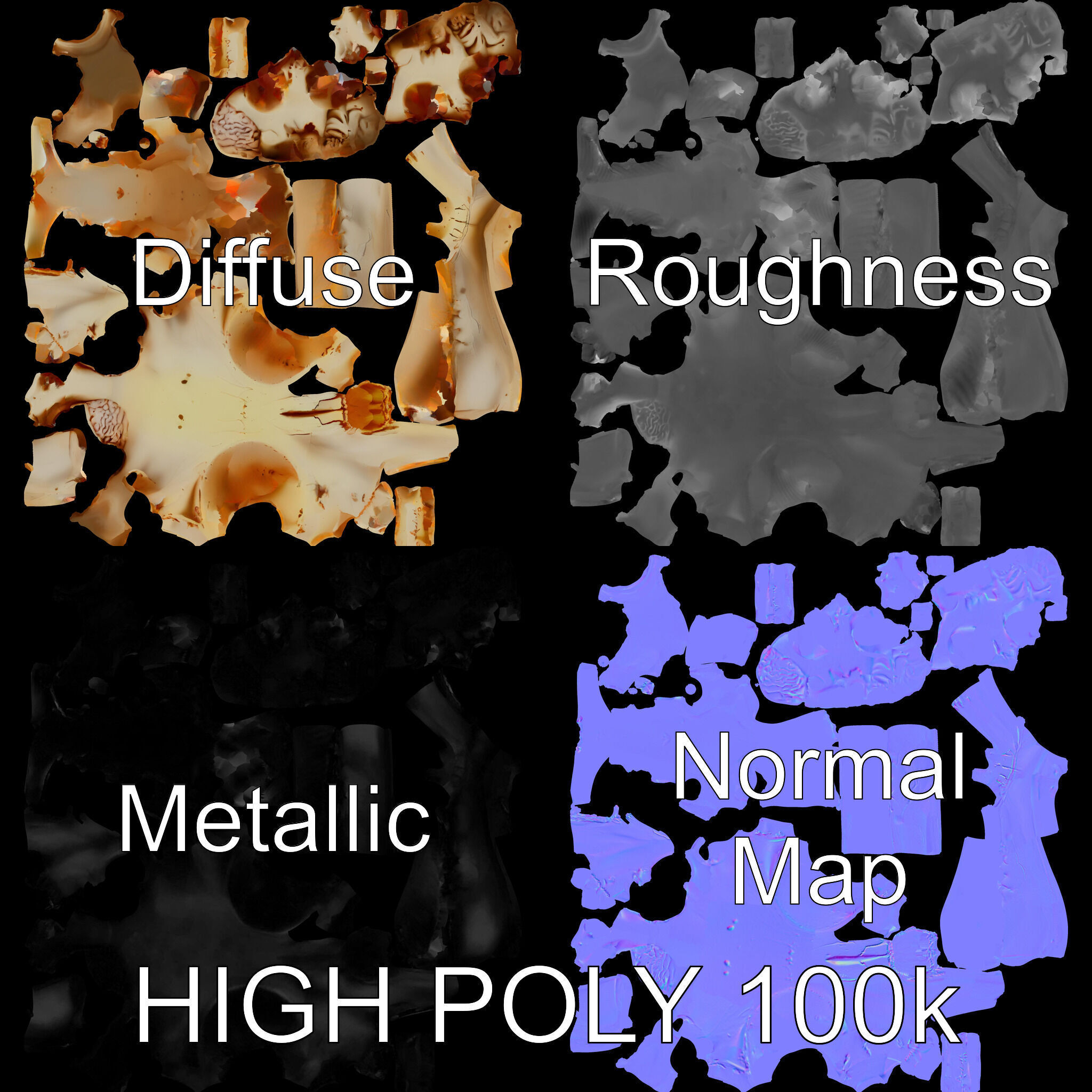 Realistic Animal Skull Model Pack for Educational and Artisti... Low-poly 3D model_2