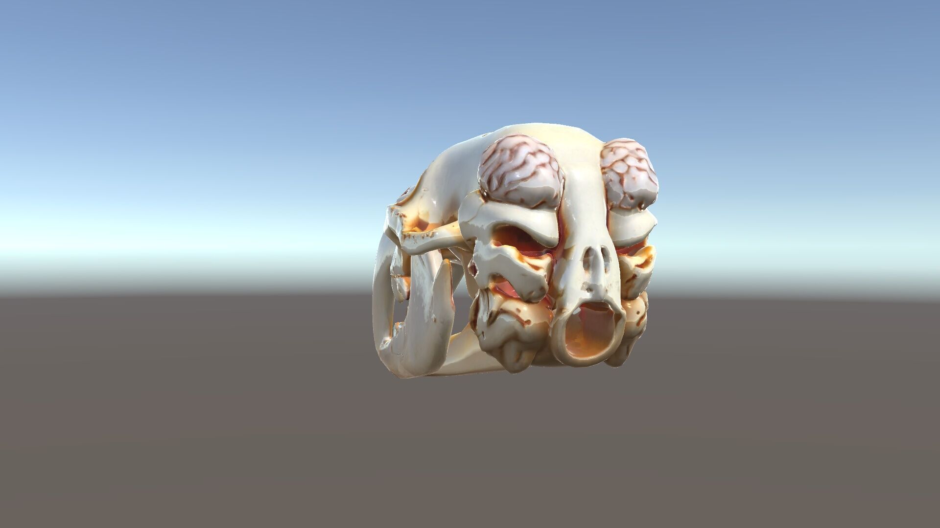 Realistic Animal Skull Model Pack for Educational and Artisti... Low-poly 3D model_11