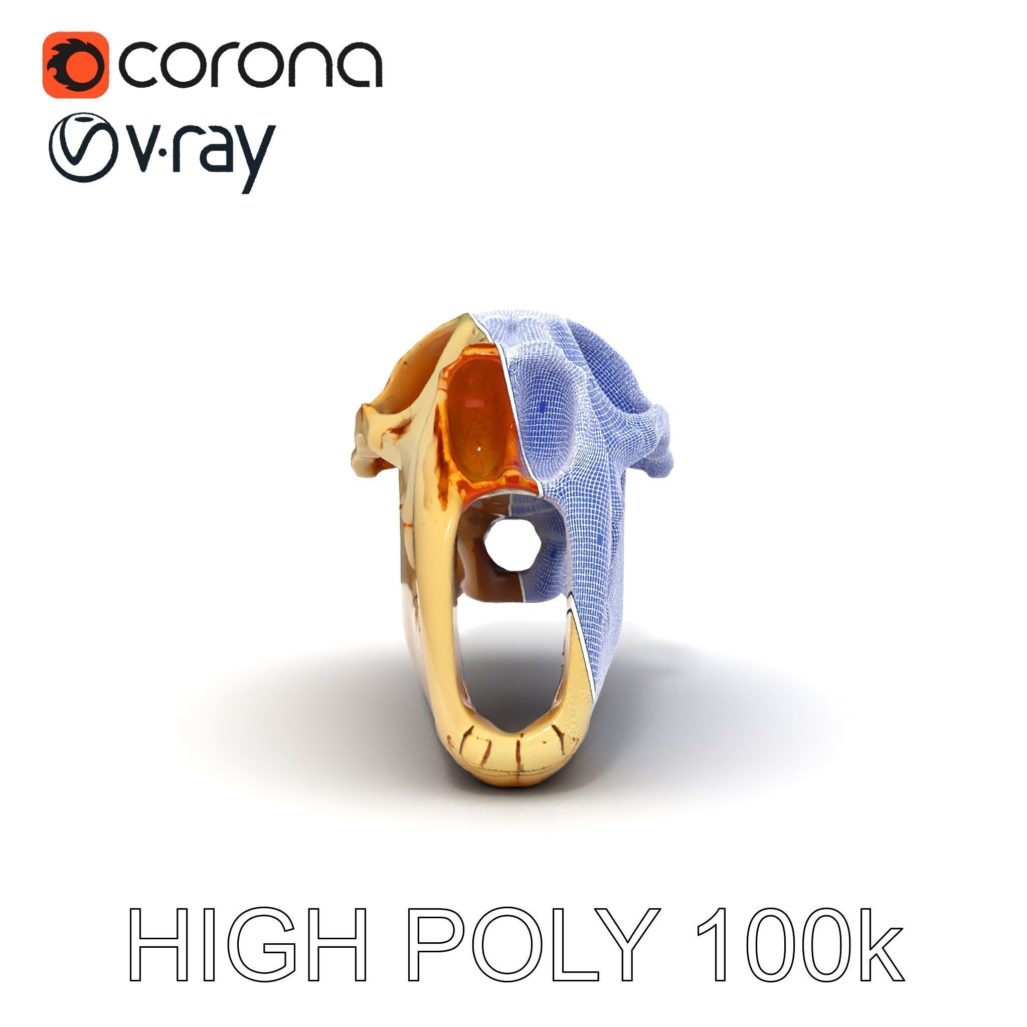 Realistic Animal Skull Model Pack for Educational and Artisti... Low-poly 3D model_29