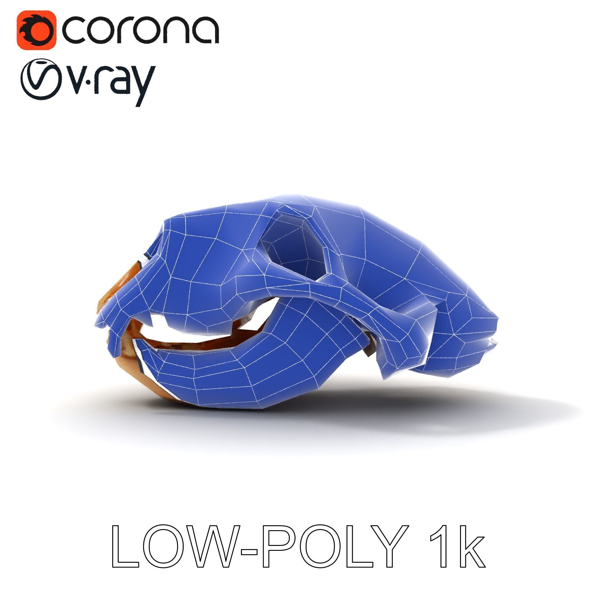 Animal Skull Model Pack for D Environments Low-poly 3D model_17