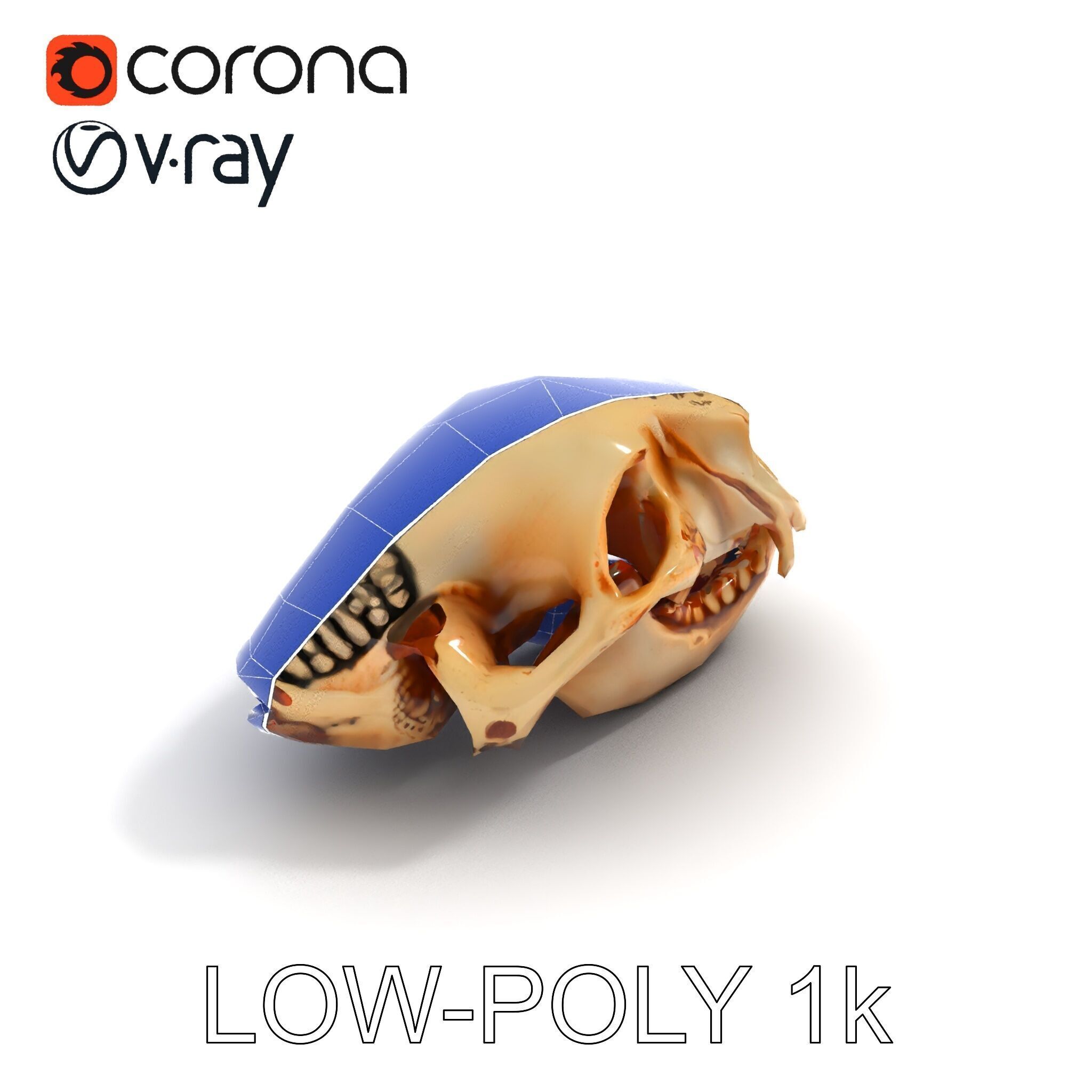 Animal Skull Model Pack for D Environments Low-poly 3D model_23