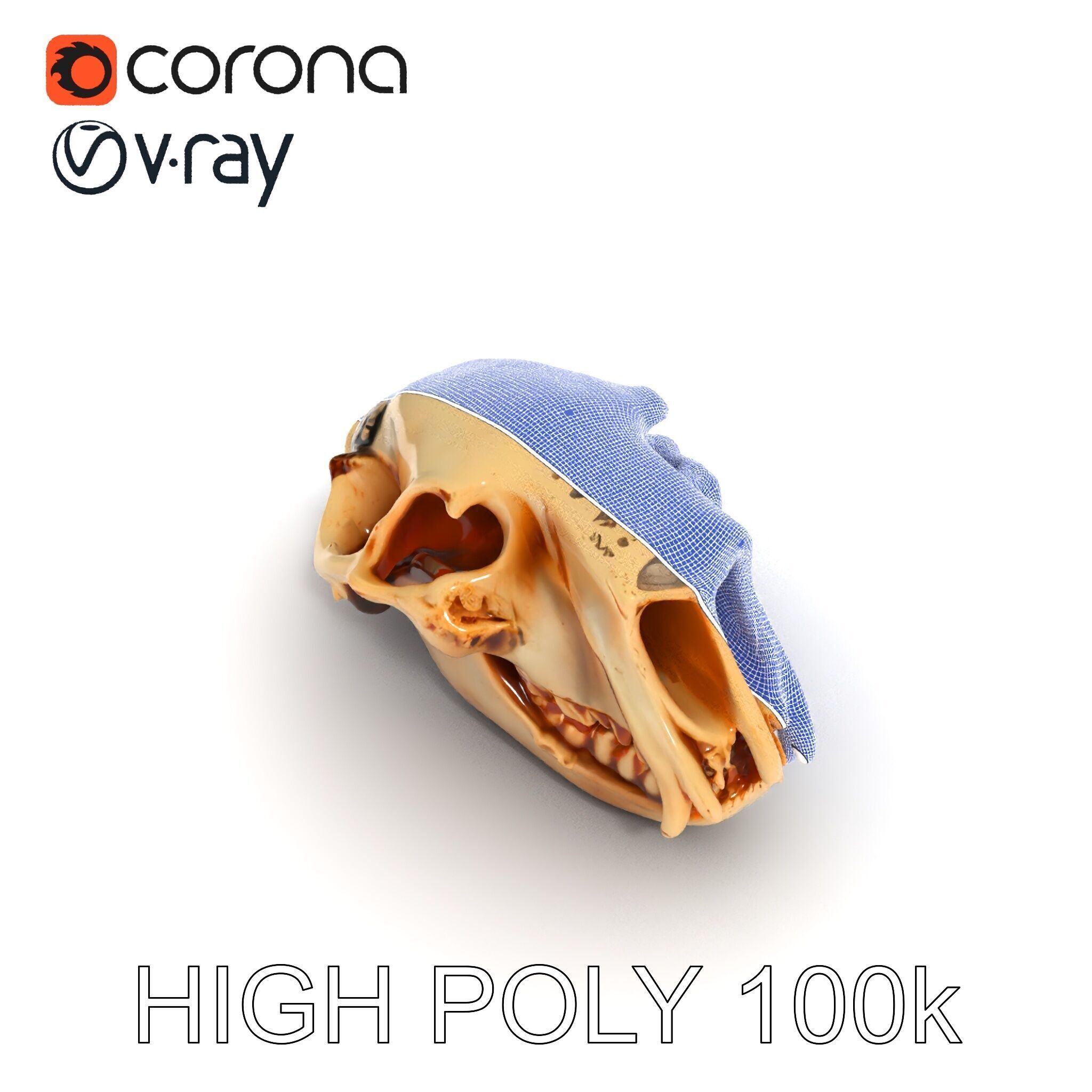 Animal Skull Model Pack for D Environments Low-poly 3D model_29