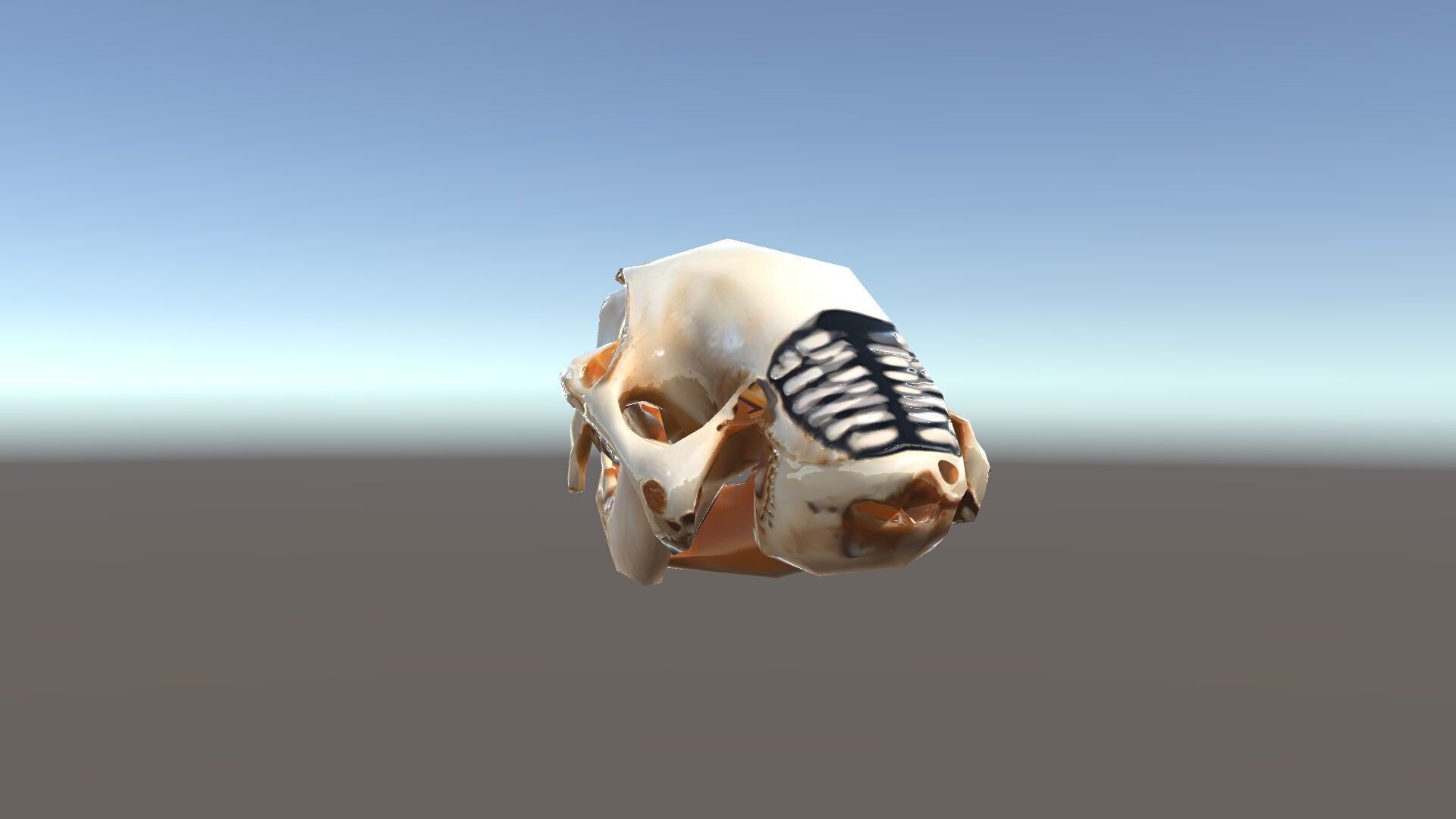Animal Skull Model Pack for D Environments Low-poly 3D model_20