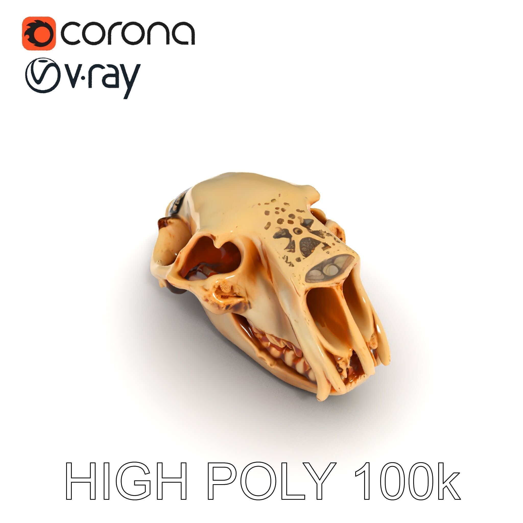 Animal Skull Model Pack for D Environments Low-poly 3D model_21