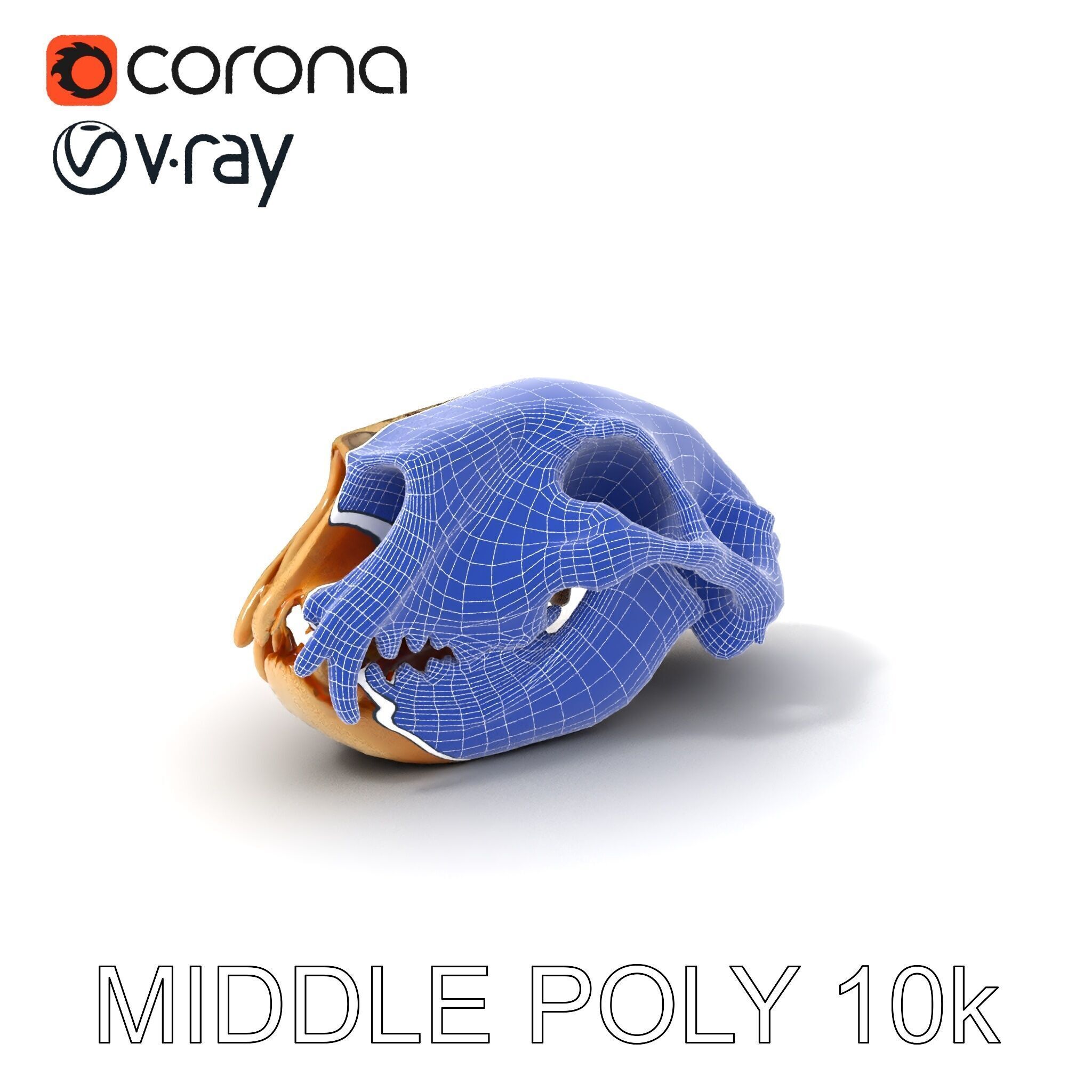 Animal Skull Model Pack for D Environments Low-poly 3D model_11