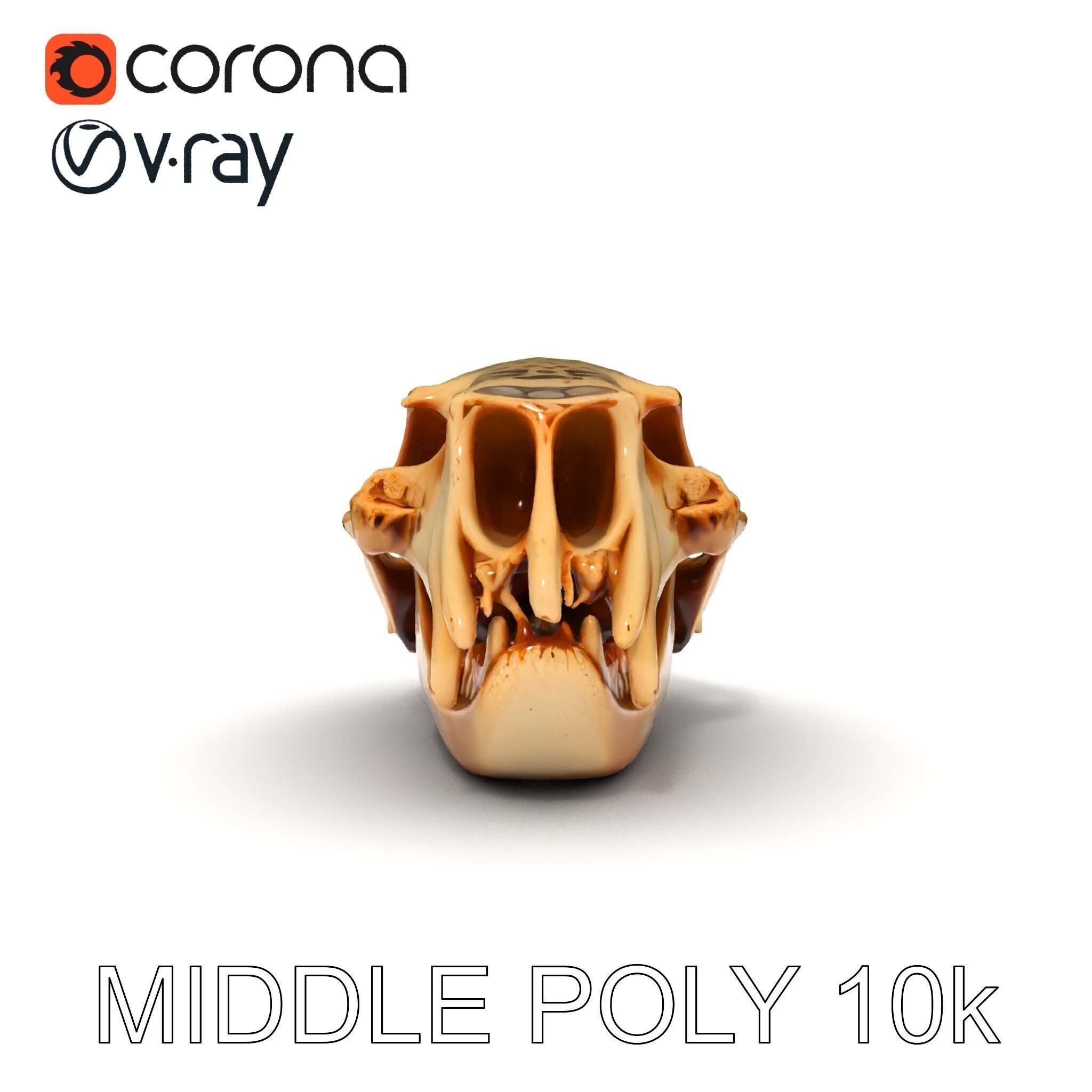 Animal Skull Model Pack for D Environments Low-poly 3D model_16