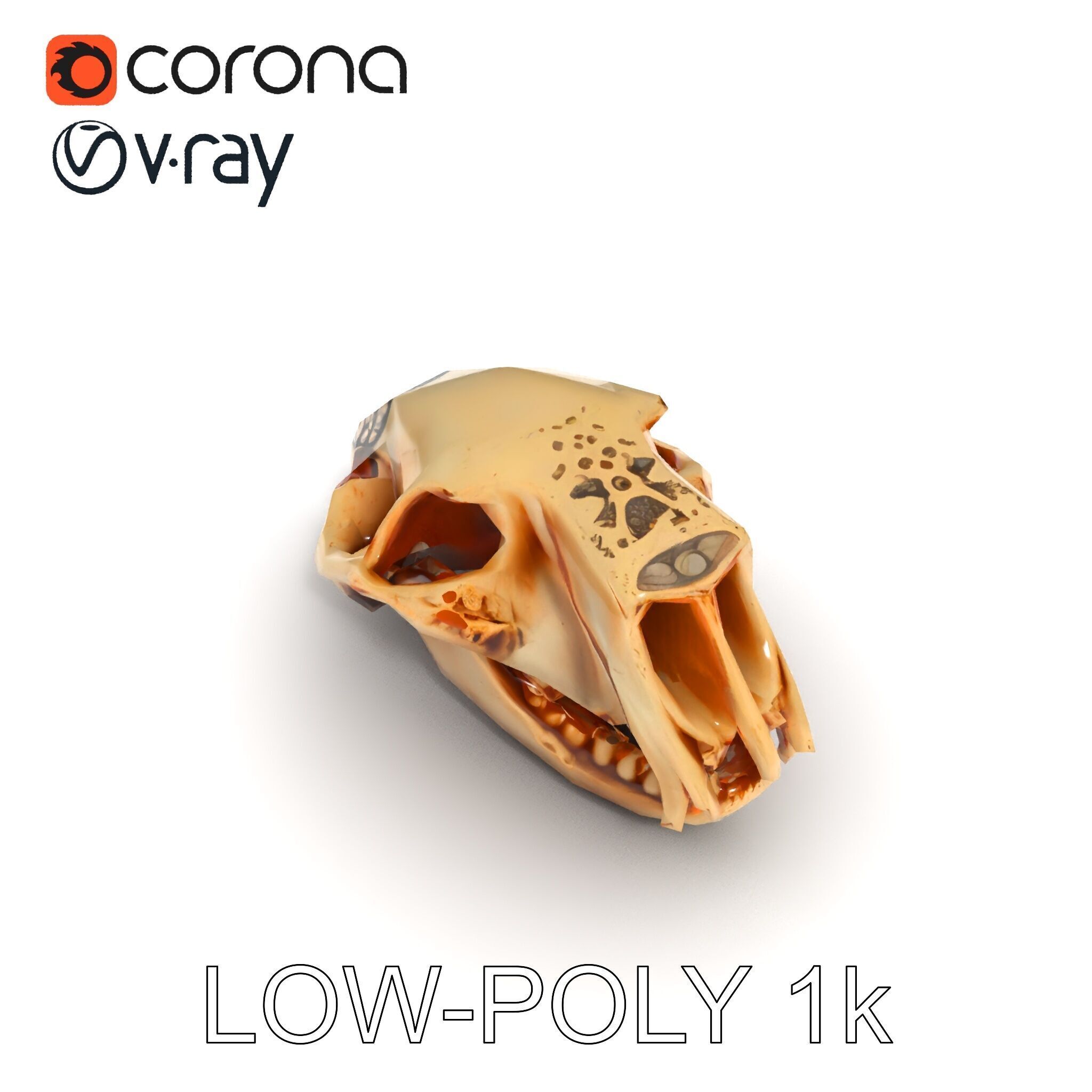 Animal Skull Model Pack for D Environments Low-poly 3D model_33