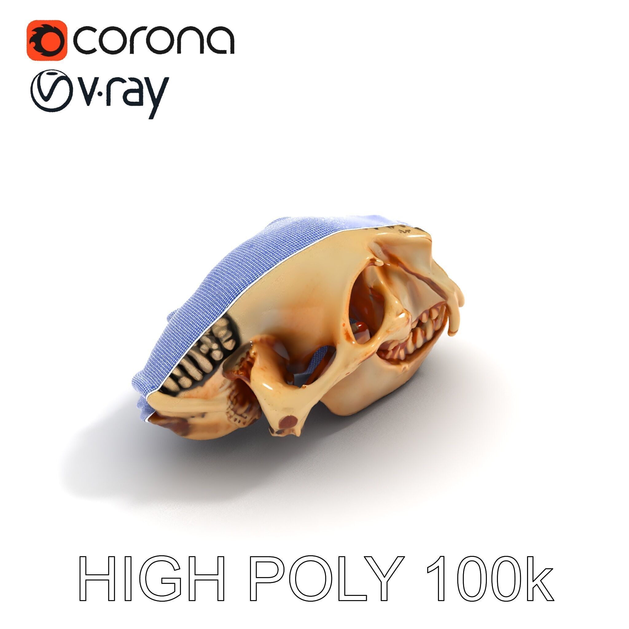 Animal Skull Model Pack for D Environments Low-poly 3D model_35