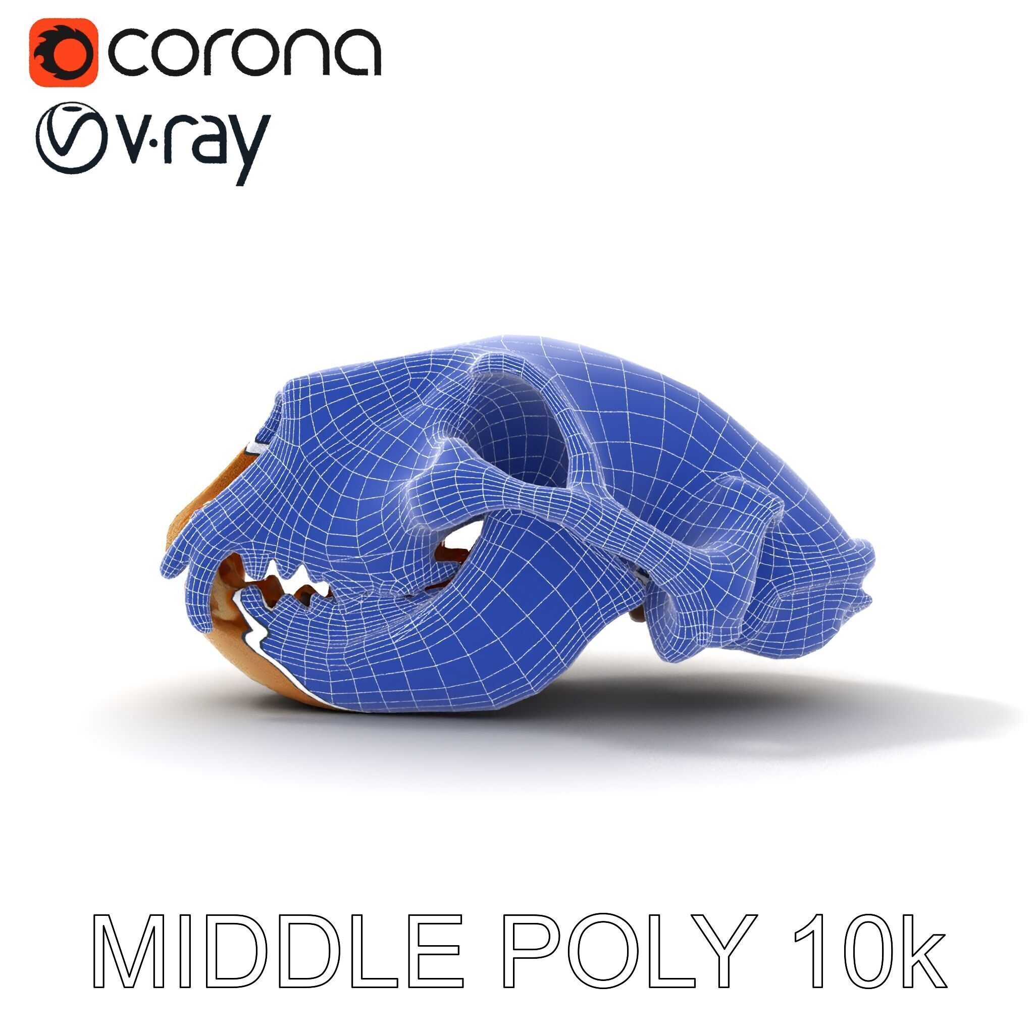 Animal Skull Model Pack for D Environments Low-poly 3D model_8