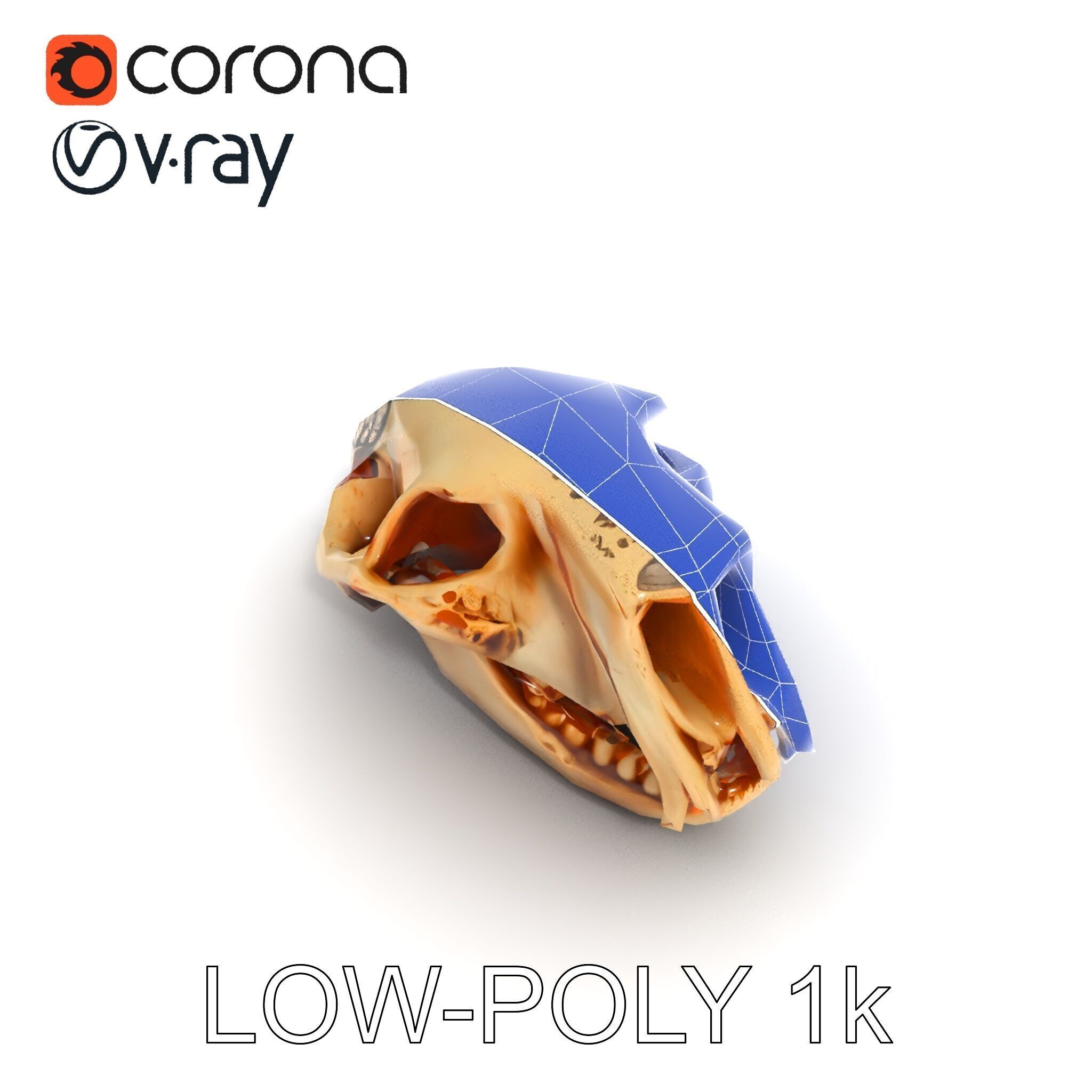 Animal Skull Model Pack for D Environments Low-poly 3D model_12