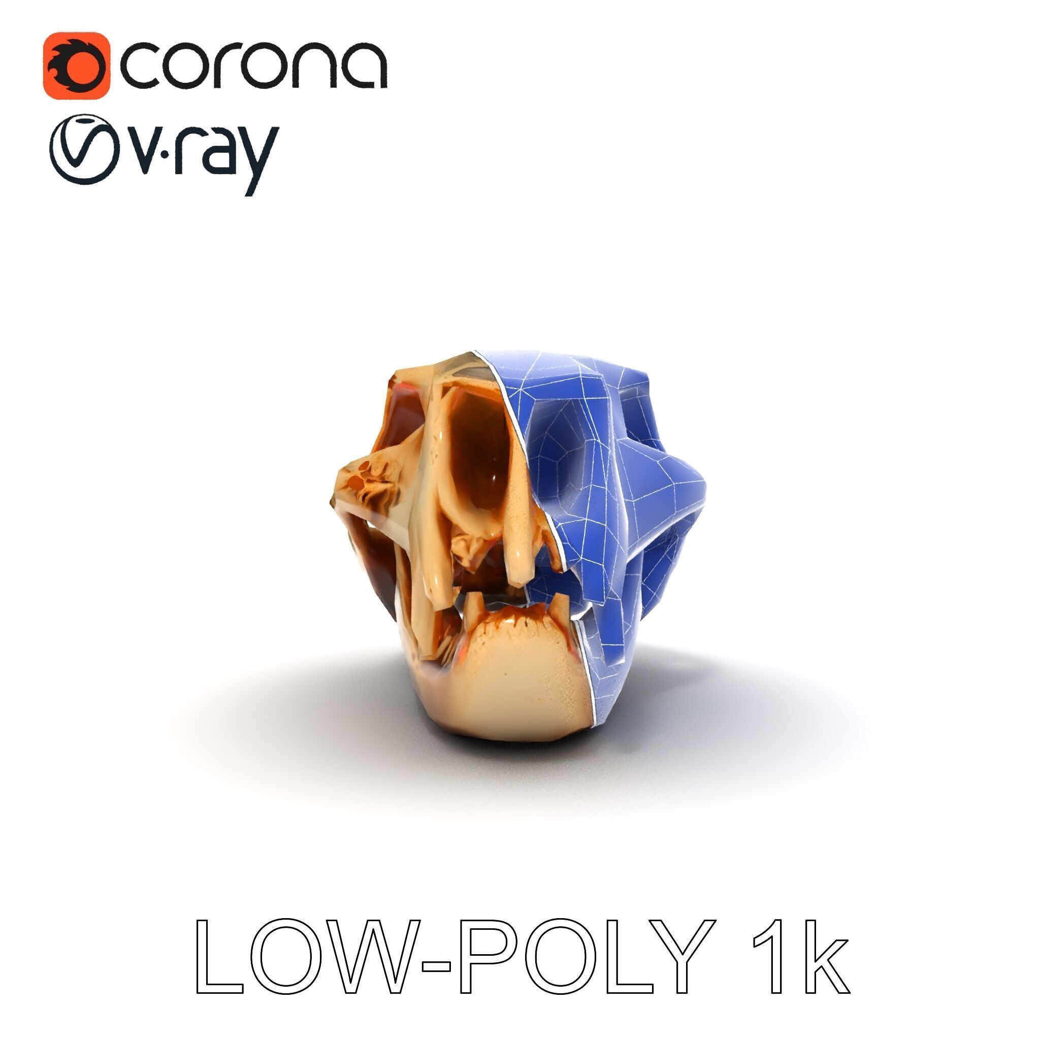 Animal Skull Model Pack for D Environments Low-poly 3D model_25