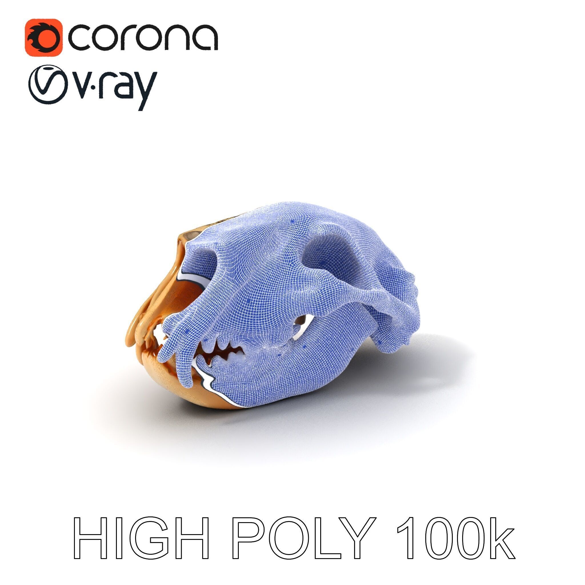 Animal Skull Model Pack for D Environments Low-poly 3D model_4