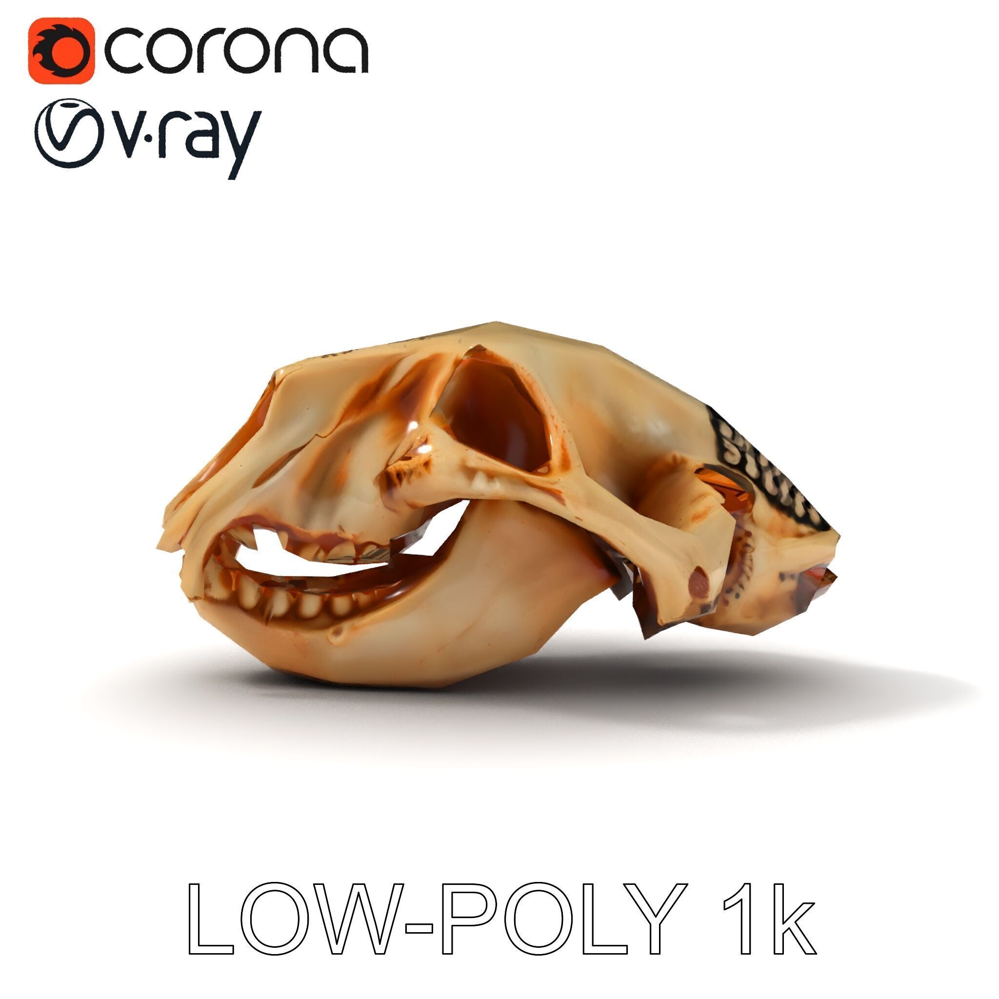 Animal Skull Model Pack for D Environments Low-poly 3D model_7