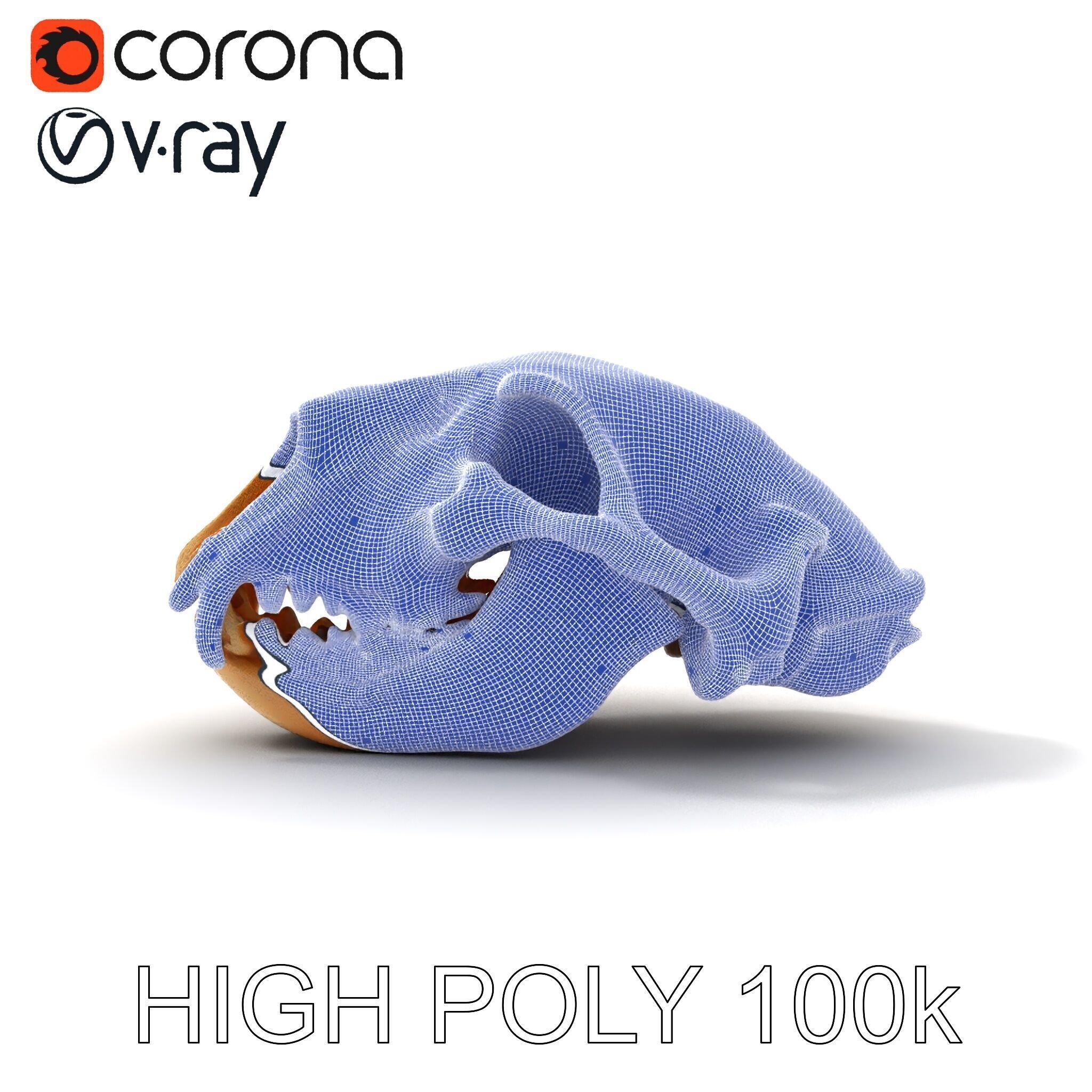 Animal Skull Model Pack for D Environments Low-poly 3D model_18