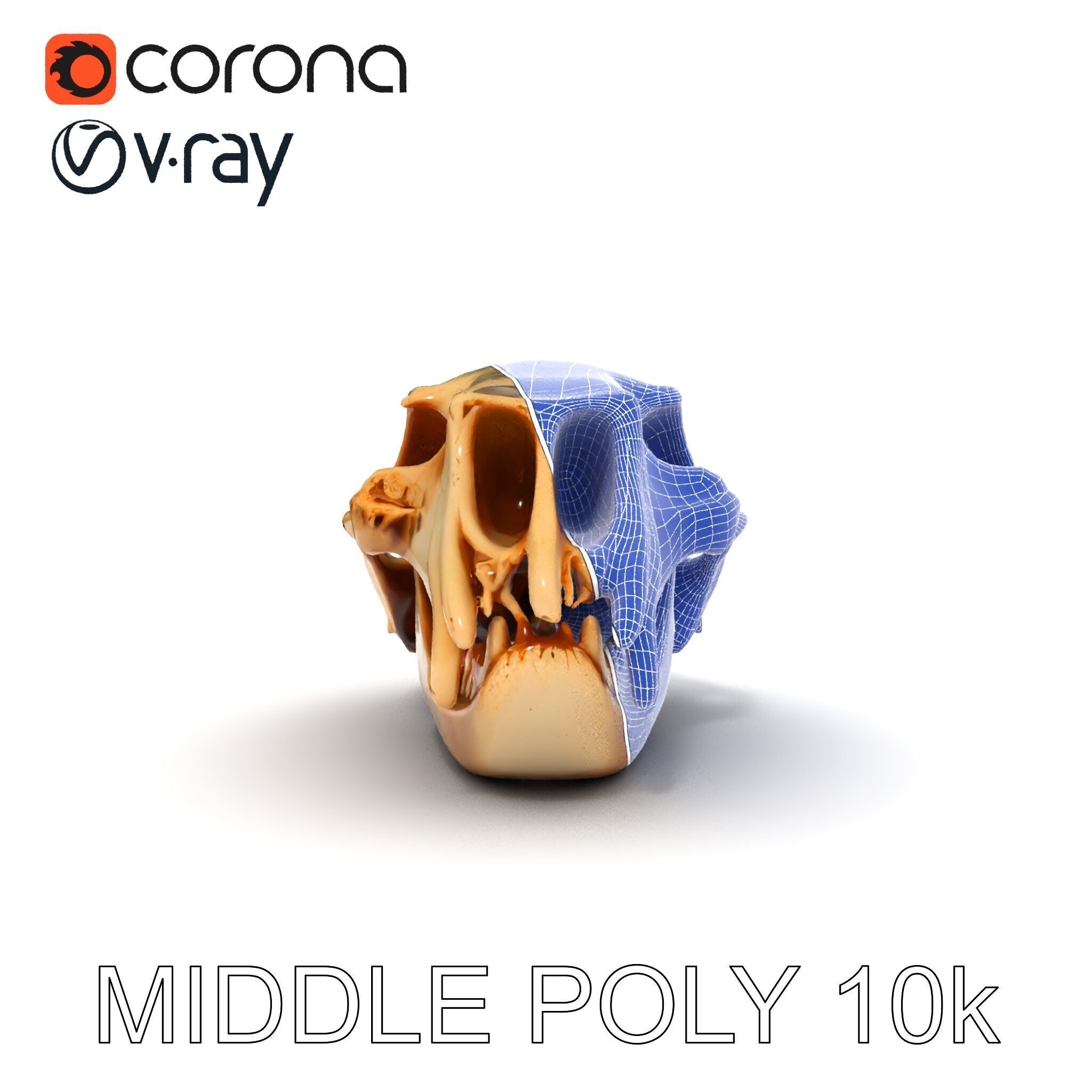 Animal Skull Model Pack for D Environments Low-poly 3D model_30