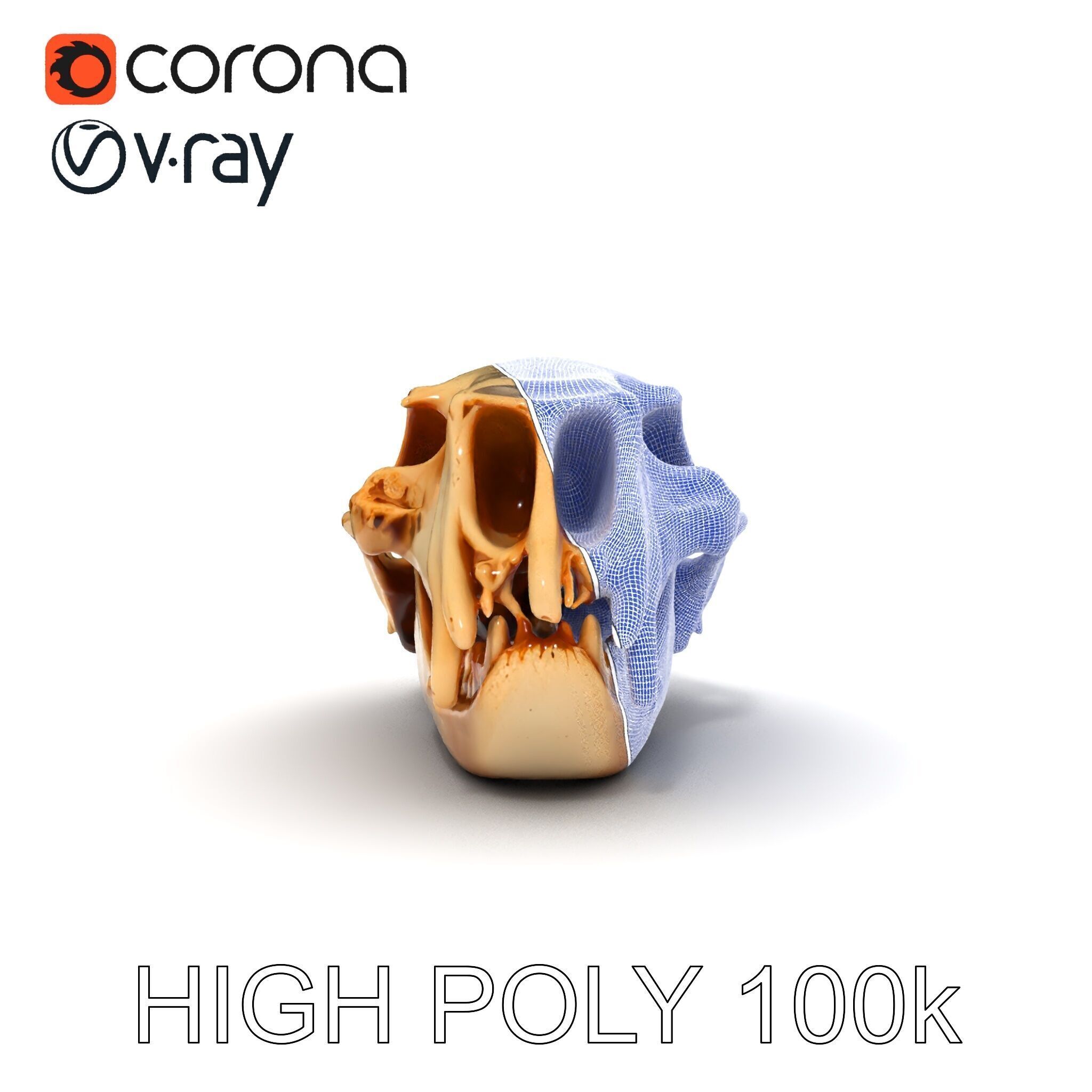 Animal Skull Model Pack for D Environments Low-poly 3D model_15
