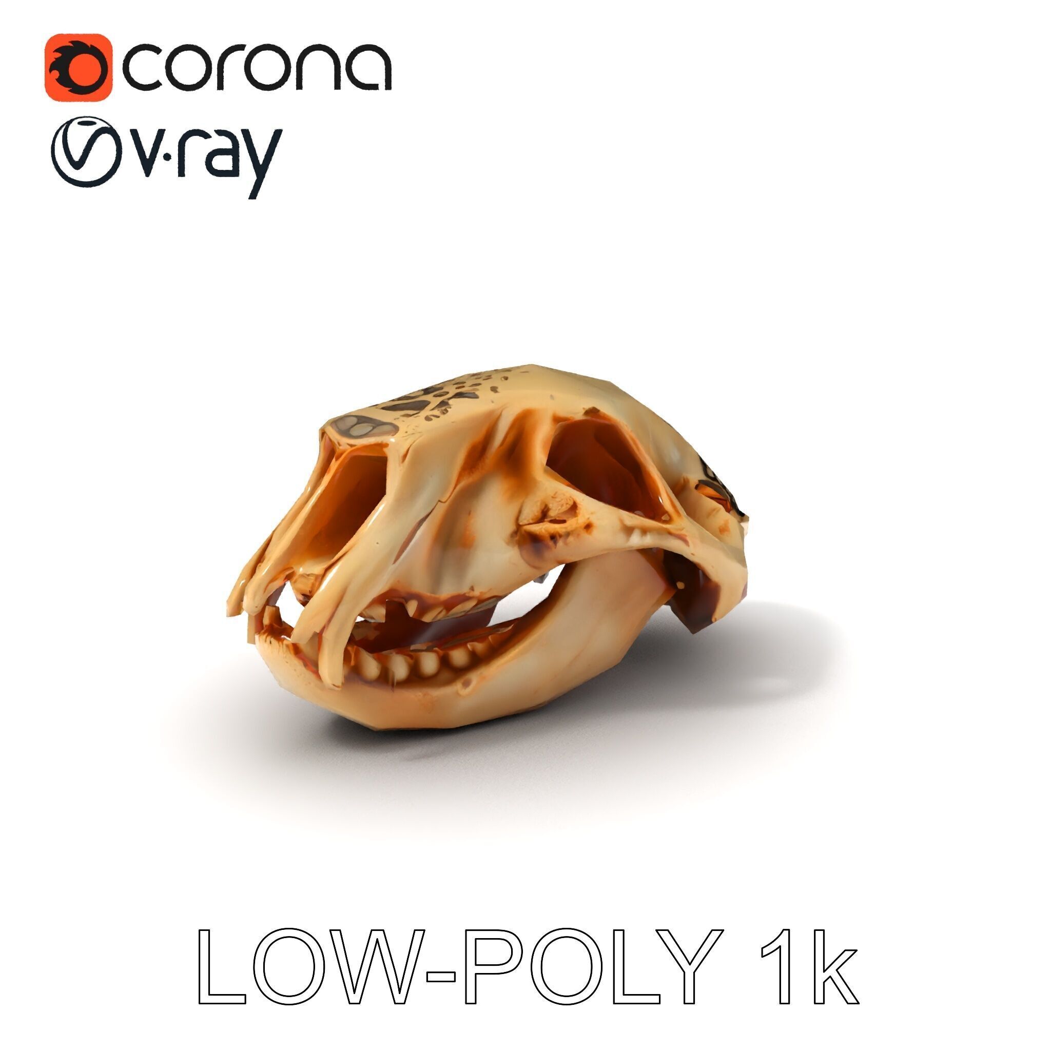 Animal Skull Model Pack for D Environments Low-poly 3D model_14