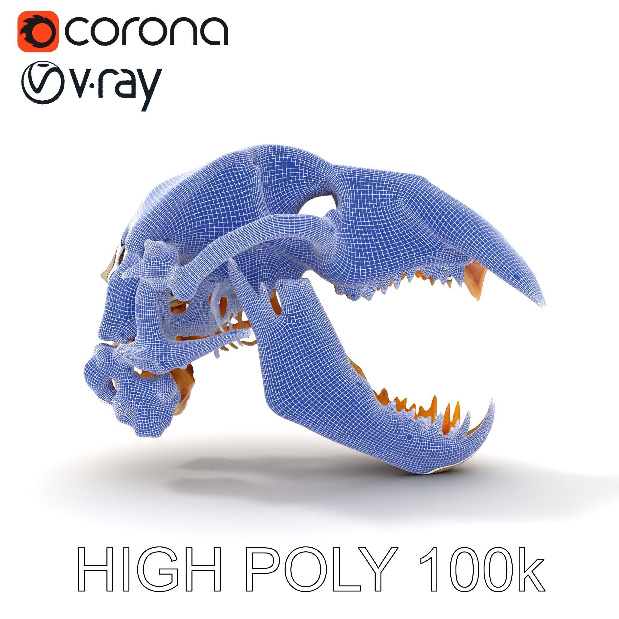 Detailed Animal Skull D Model Pack Low-poly 3D model_8