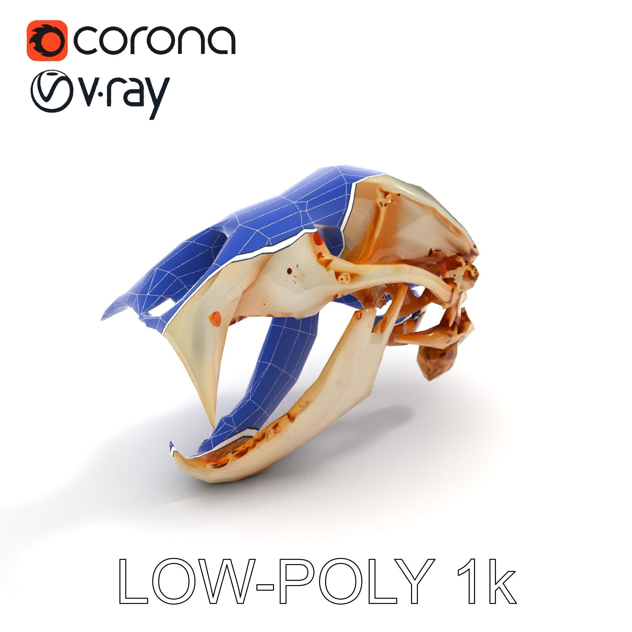 Detailed Animal Skull D Model Pack Low-poly 3D model_7