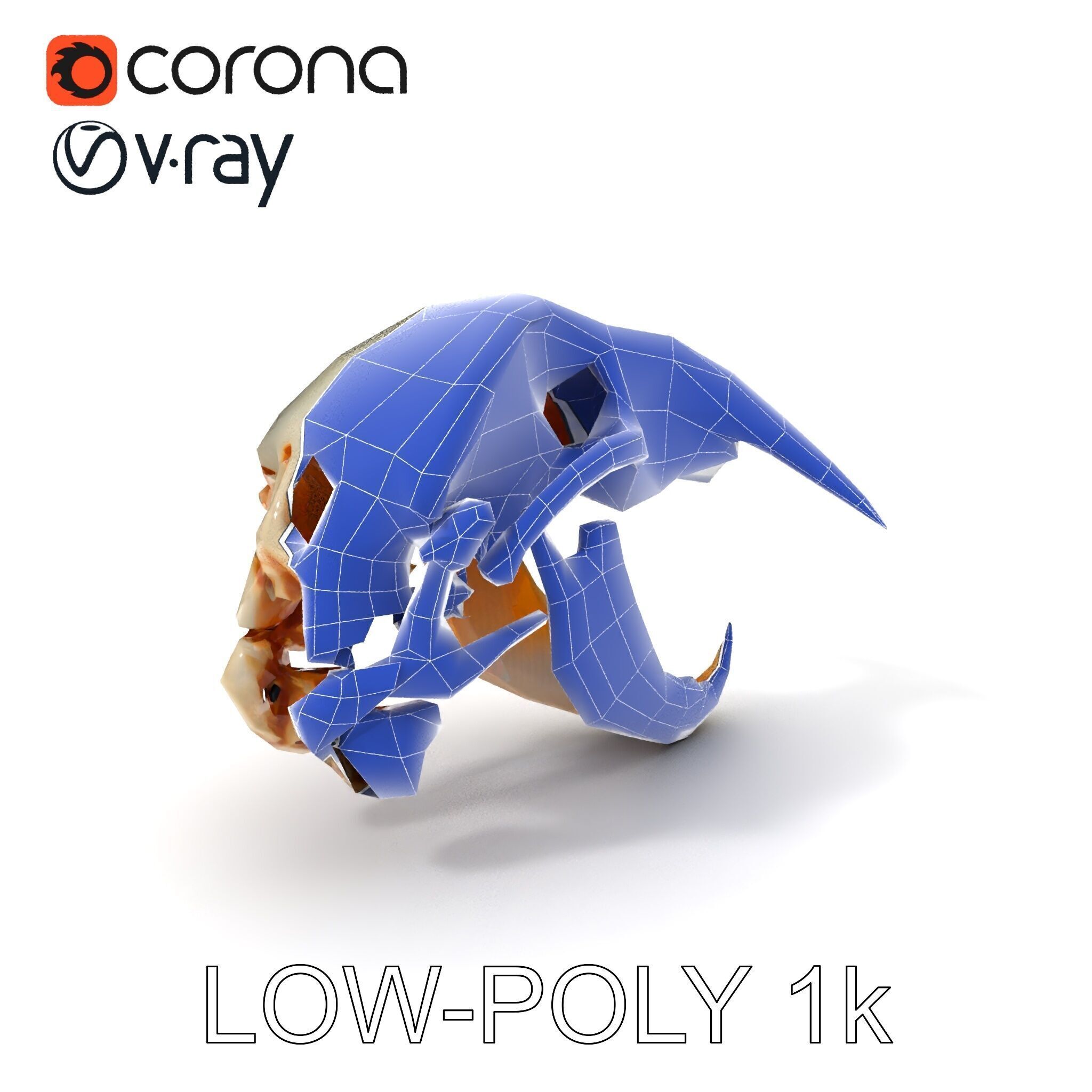 Detailed Animal Skull D Model Pack Low-poly 3D model_28