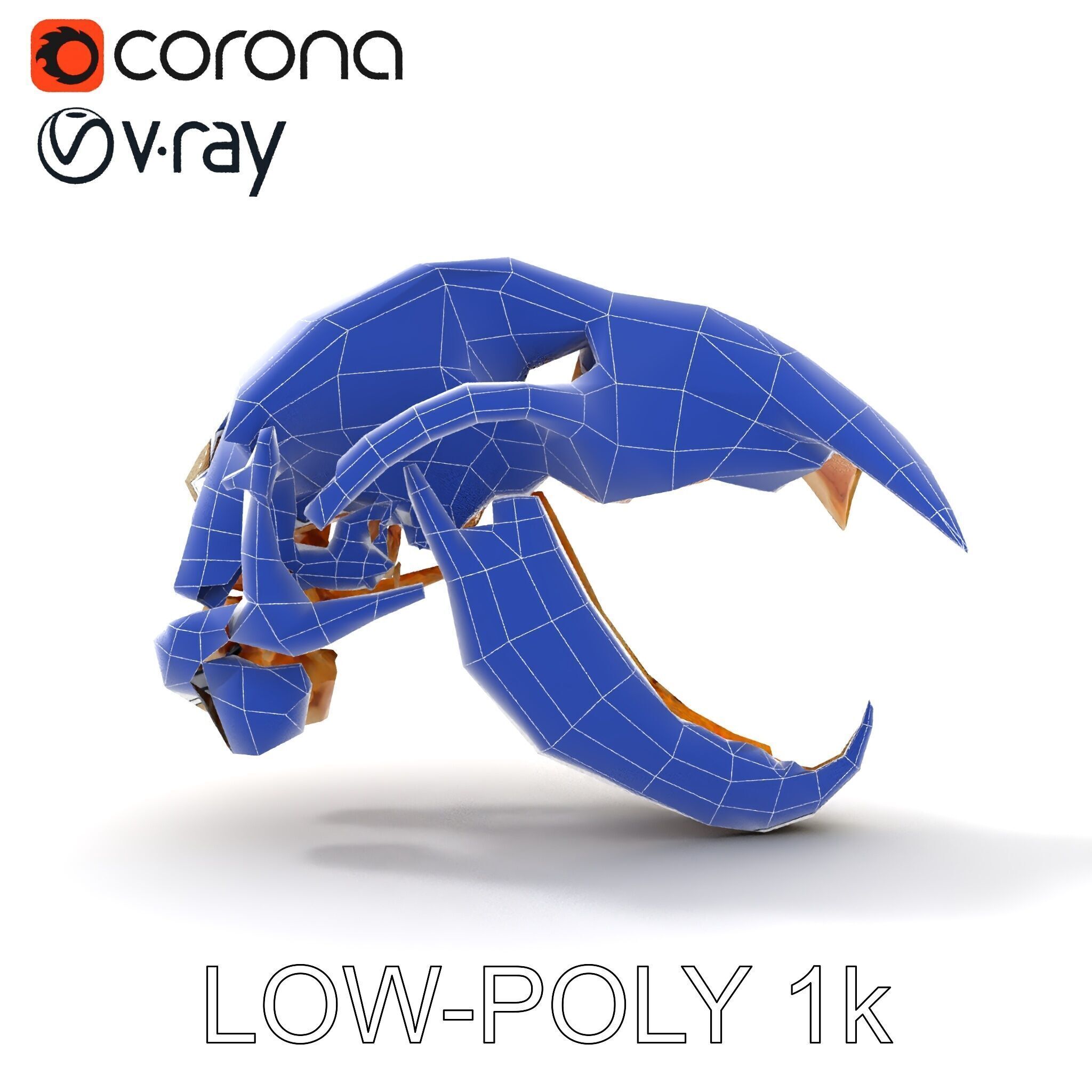 Detailed Animal Skull D Model Pack Low-poly 3D model_14