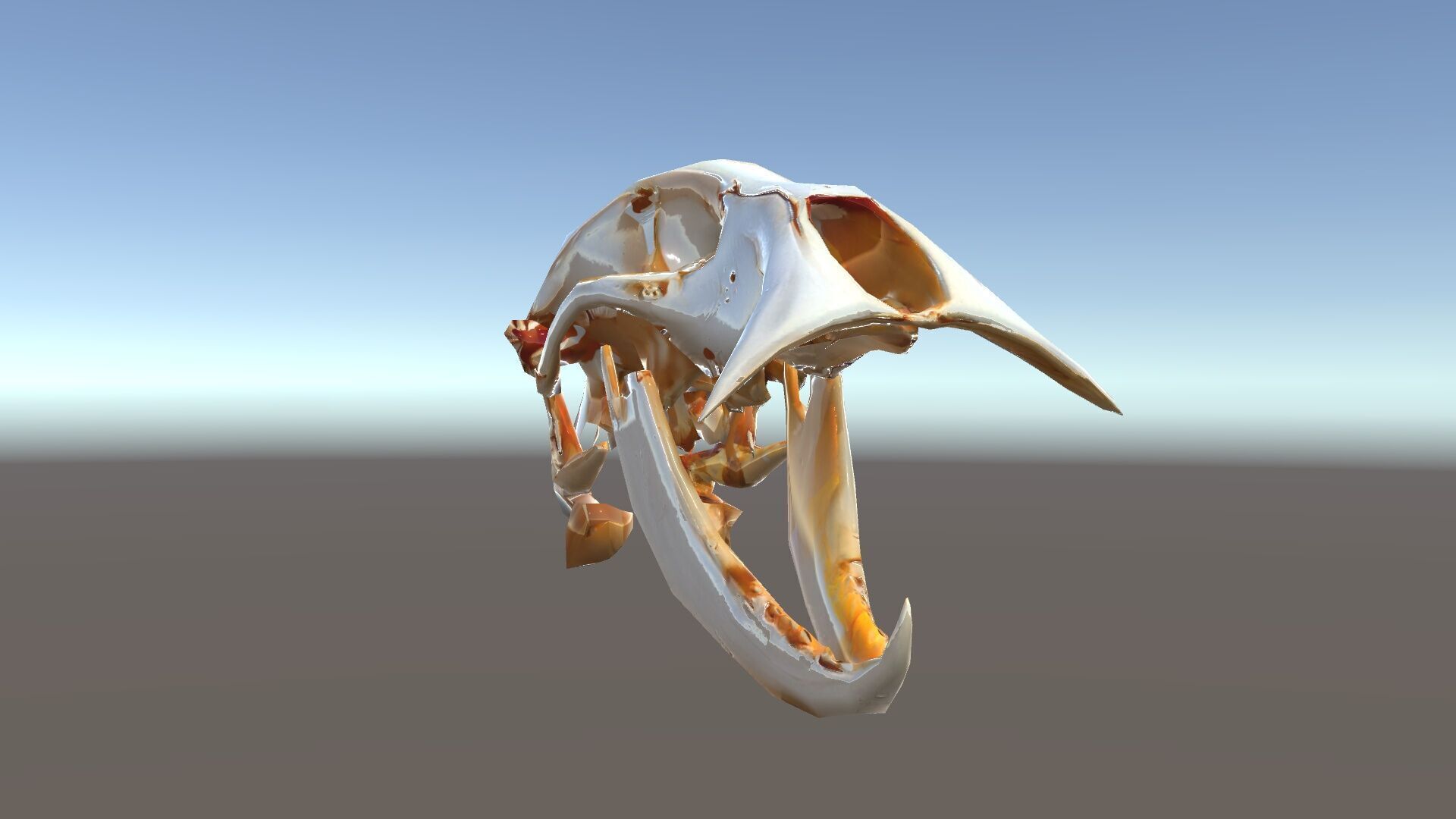Detailed Animal Skull D Model Pack Low-poly 3D model_25